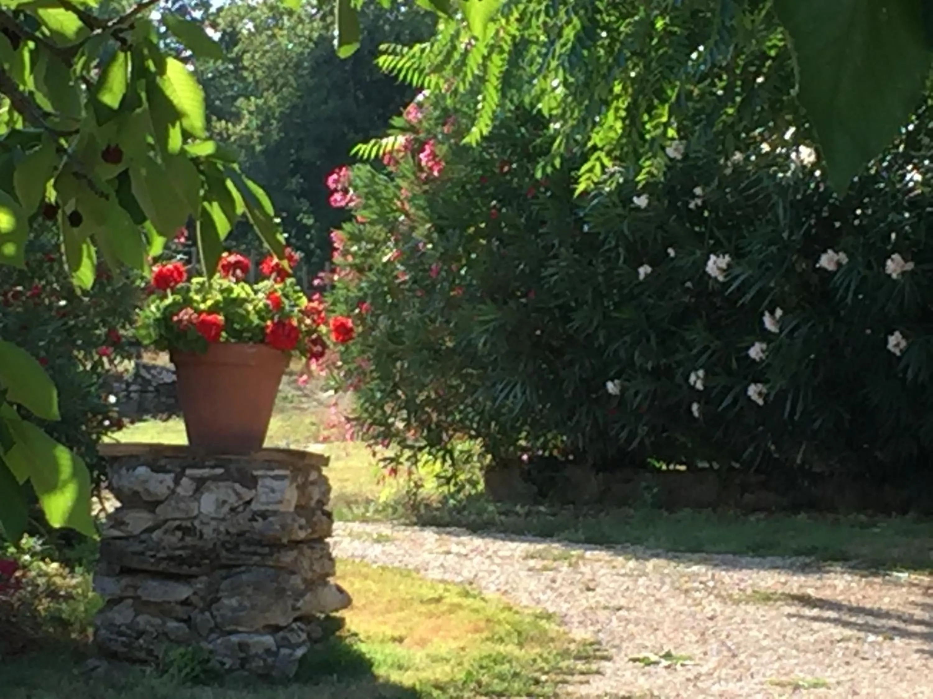 Podere Conte Ràcani