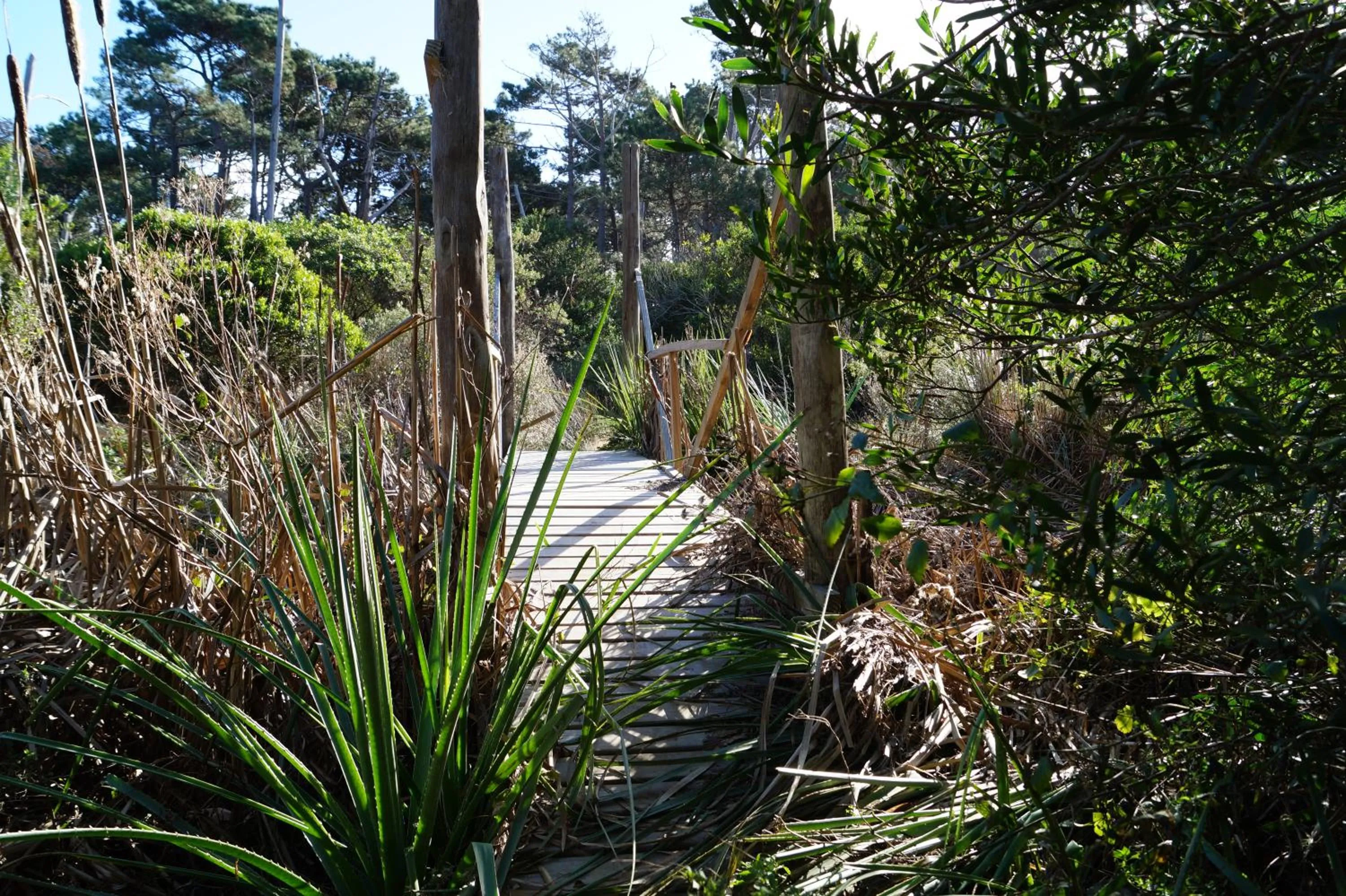 Natural landscape in Posada del Corumbá