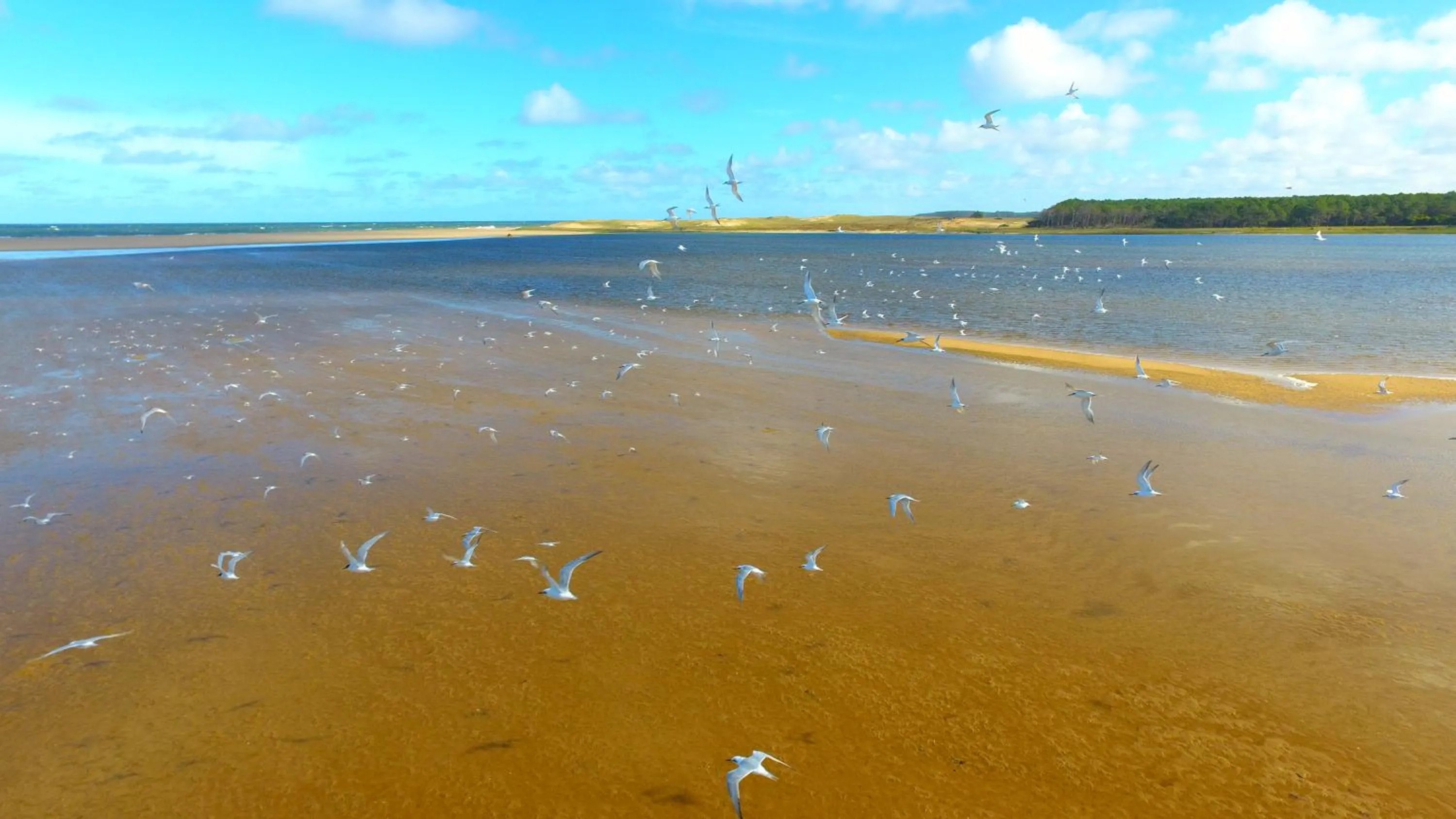 Beach in Posada del Corumbá