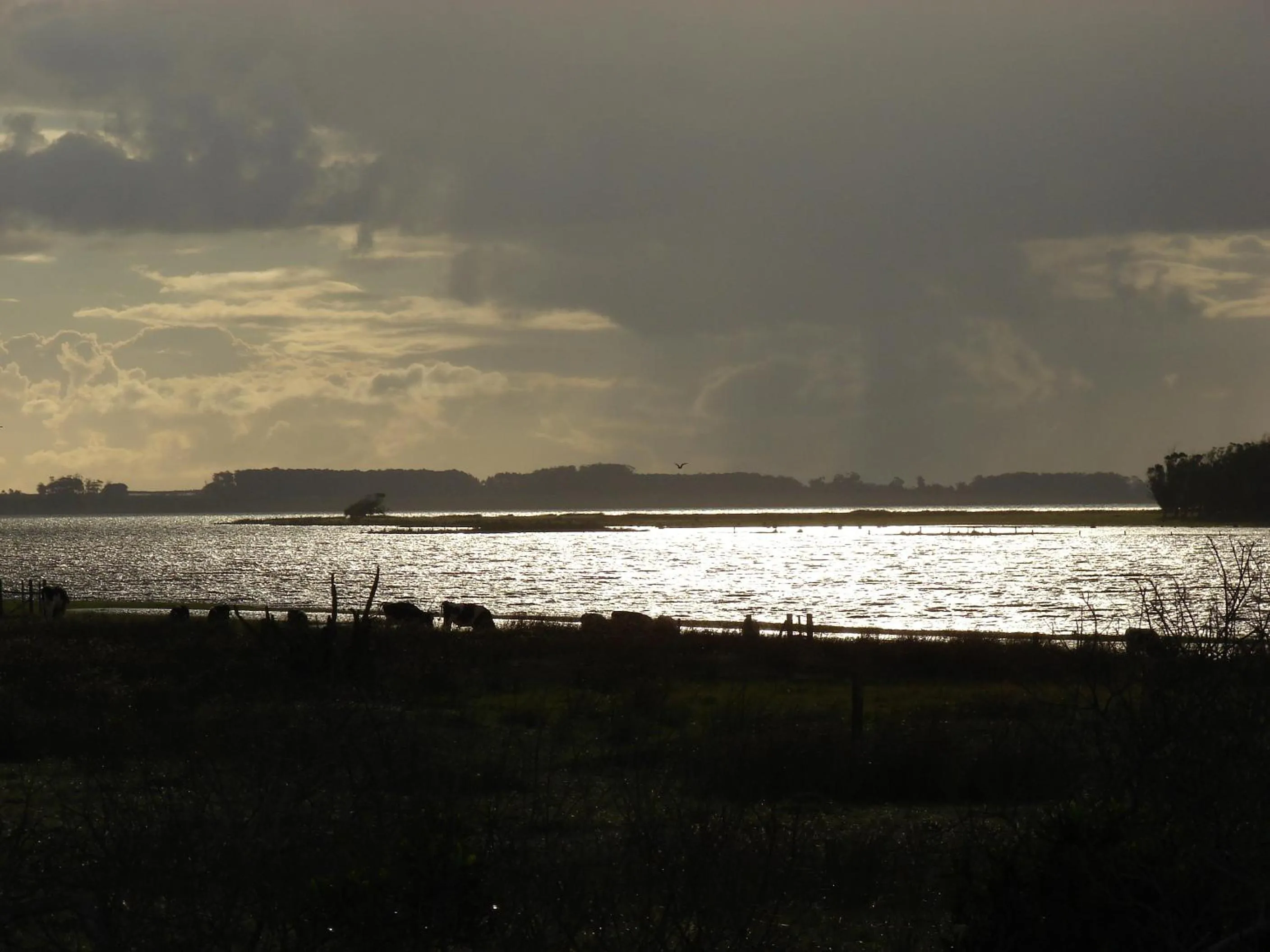 Natural landscape in Posada del Corumbá