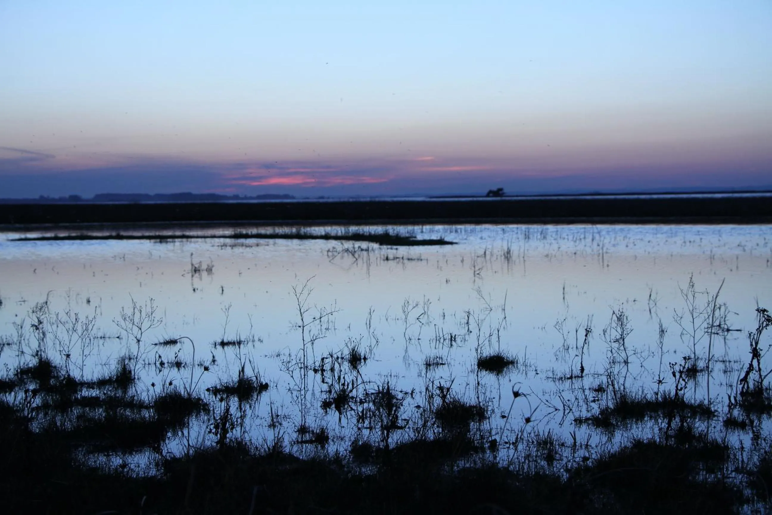 Natural landscape in Posada del Corumbá