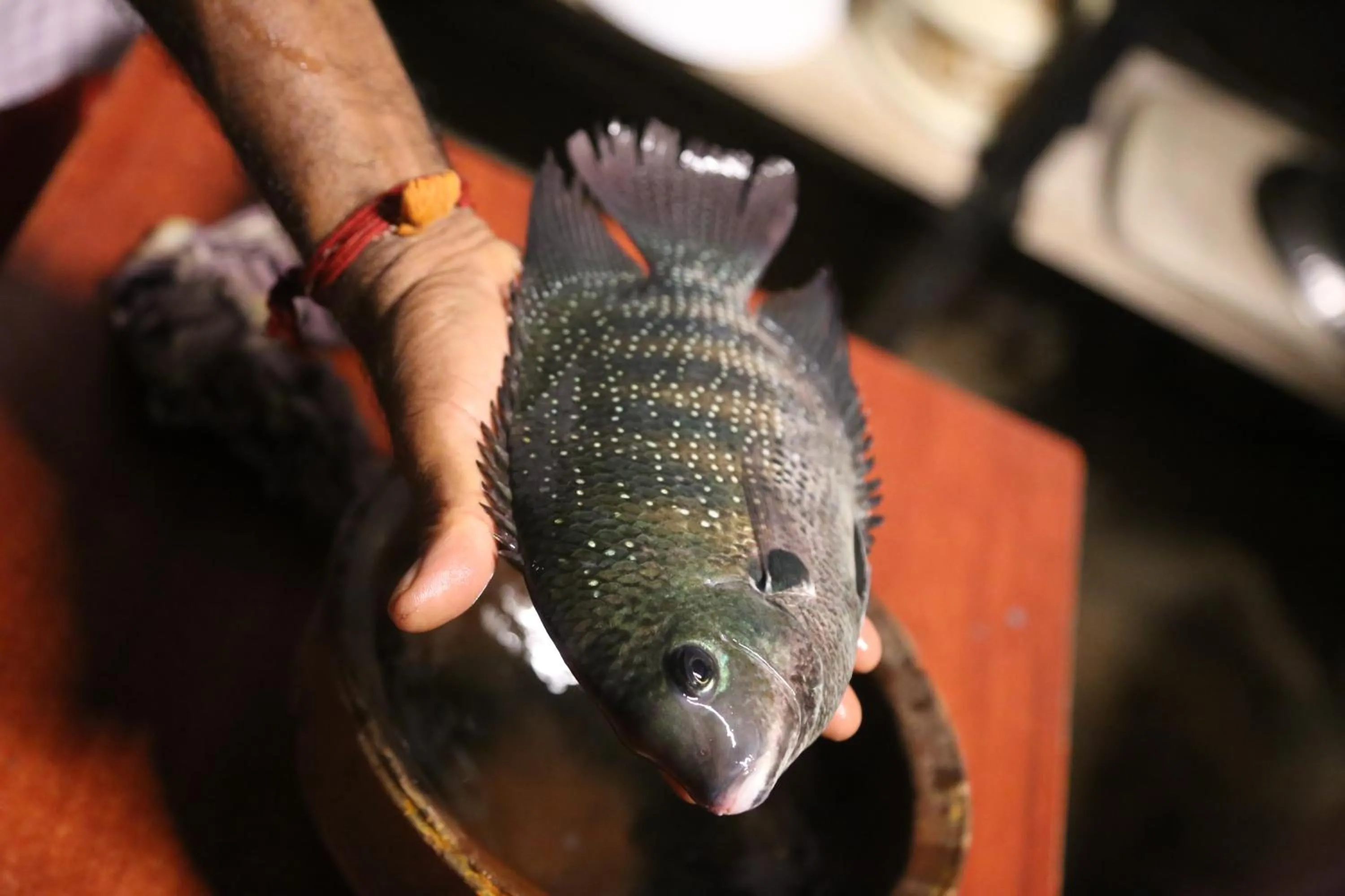 Fishing in Kandal Theeram Farms