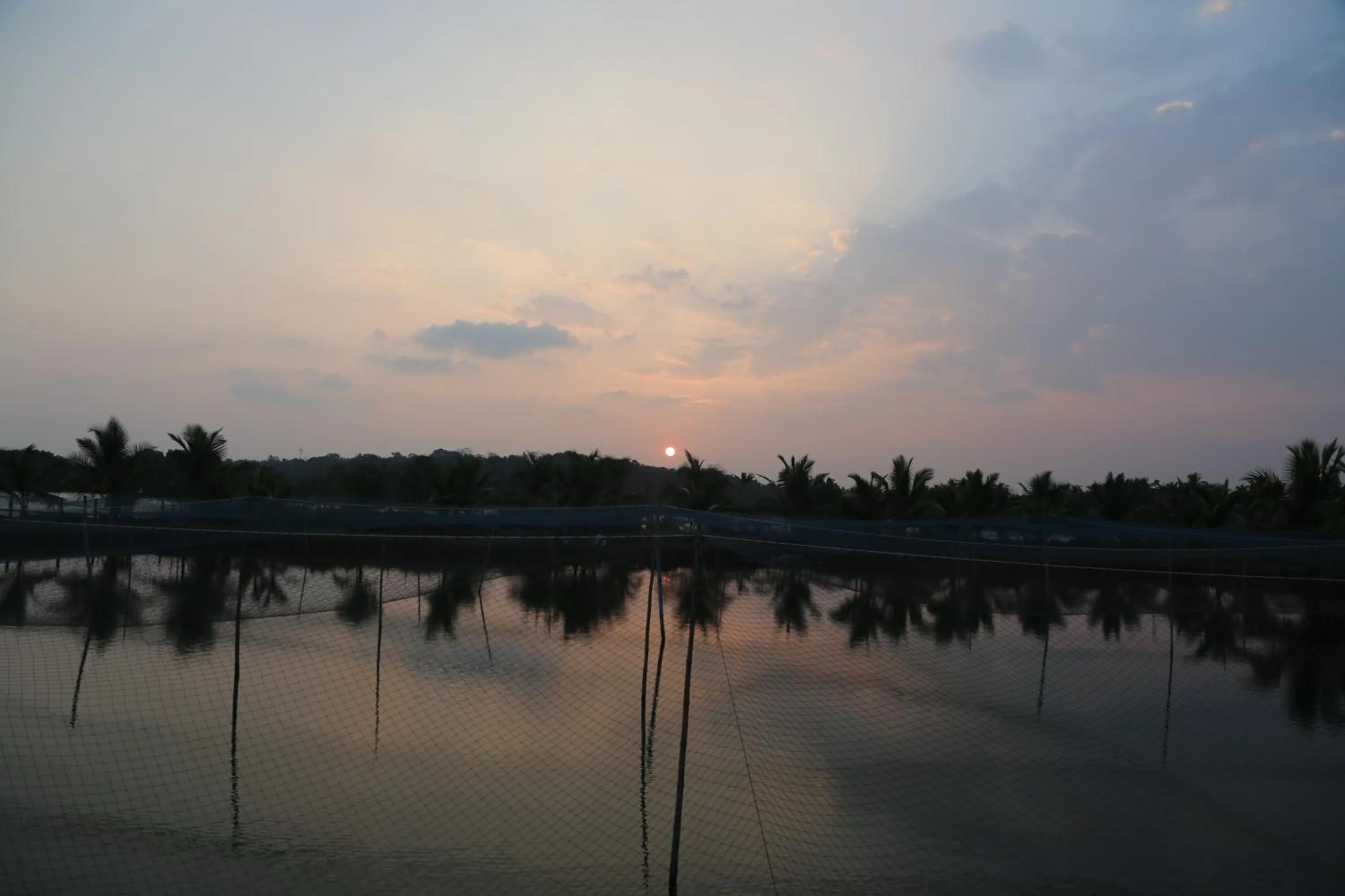 Day in Kandal Theeram Farms