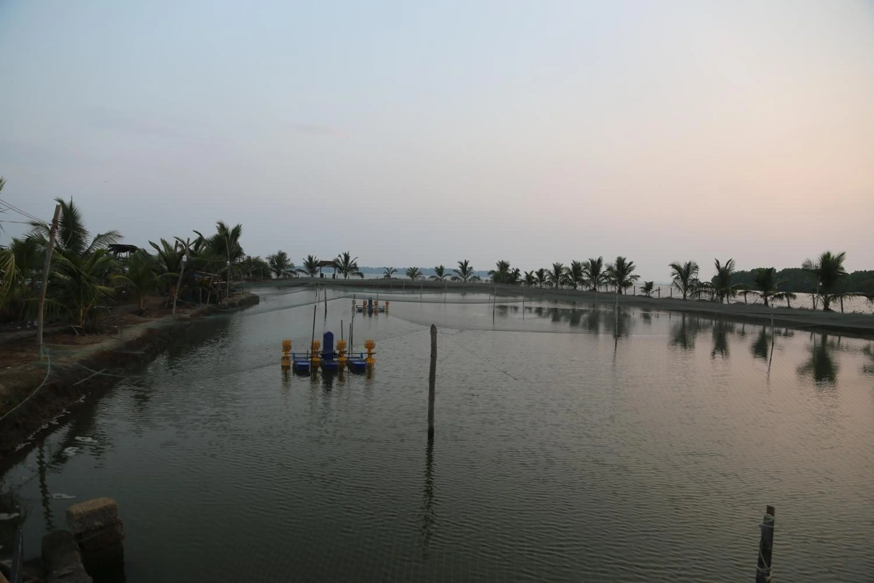 Day in Kandal Theeram Farms