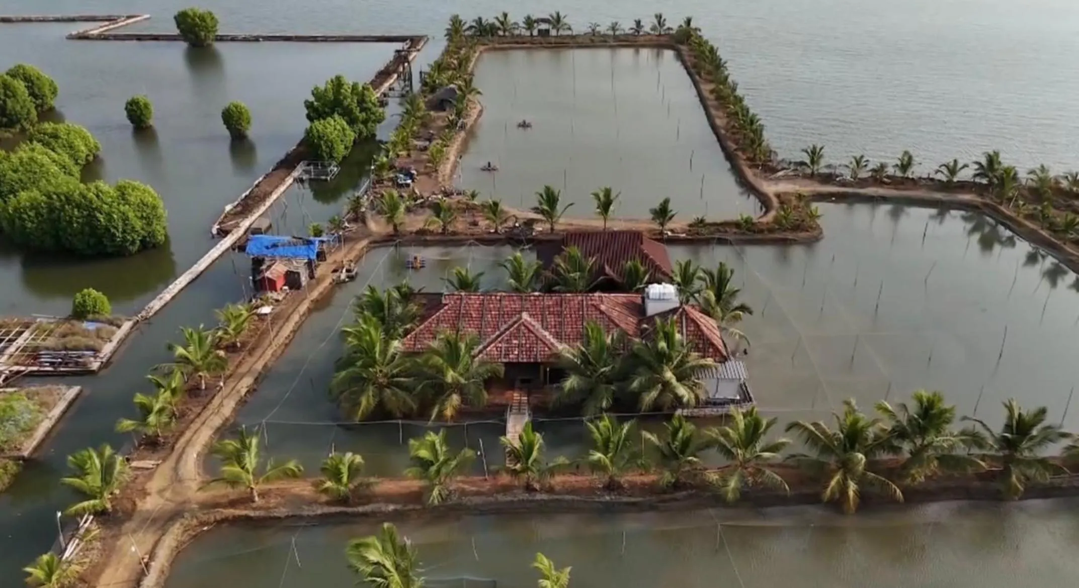 Kandal Theeram Farms