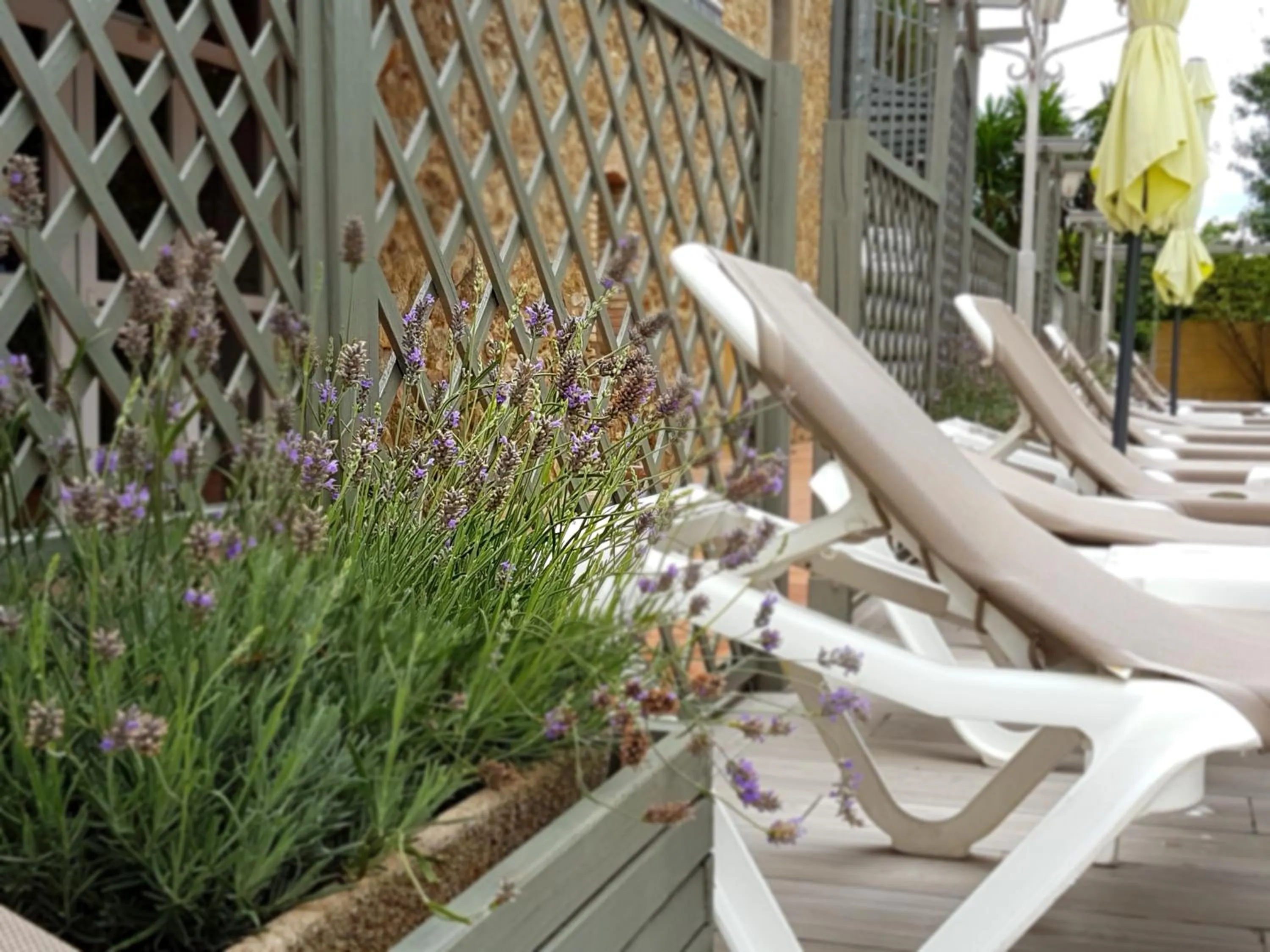 Swimming pool in Hotel Castell Blanc