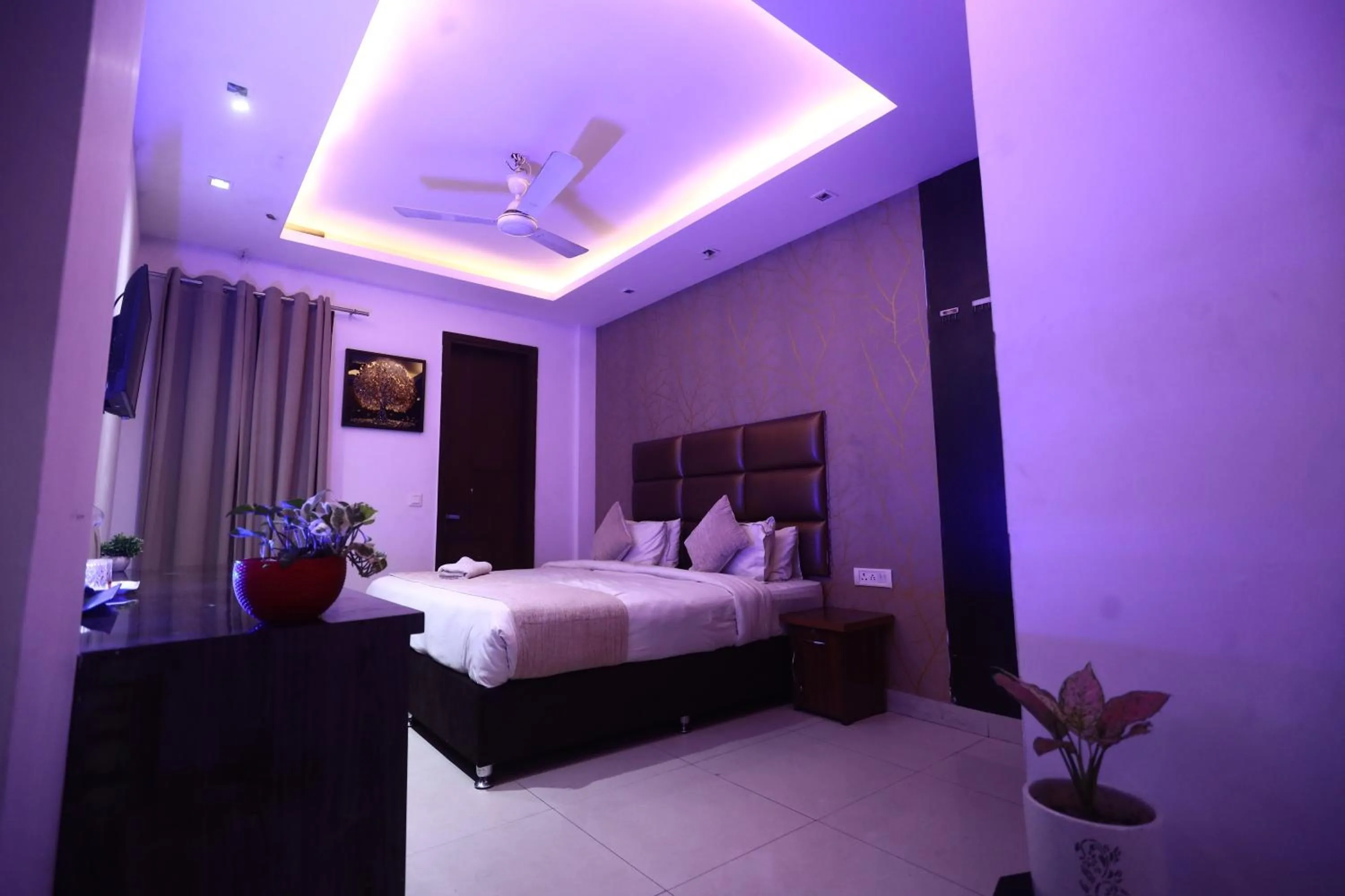 Bed in The Bed And Rock Kalkaji