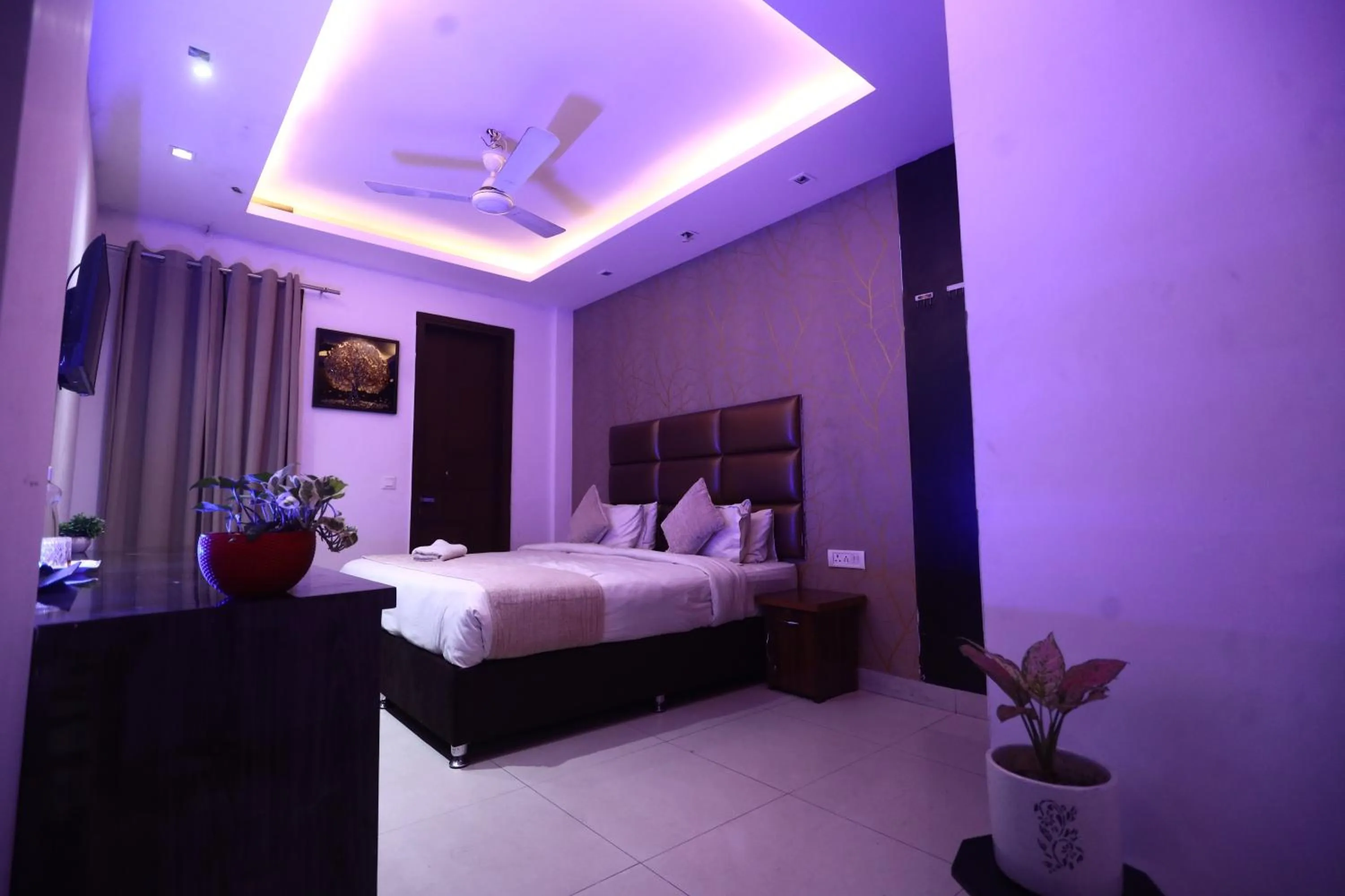 Bed in The Bed And Rock Kalkaji