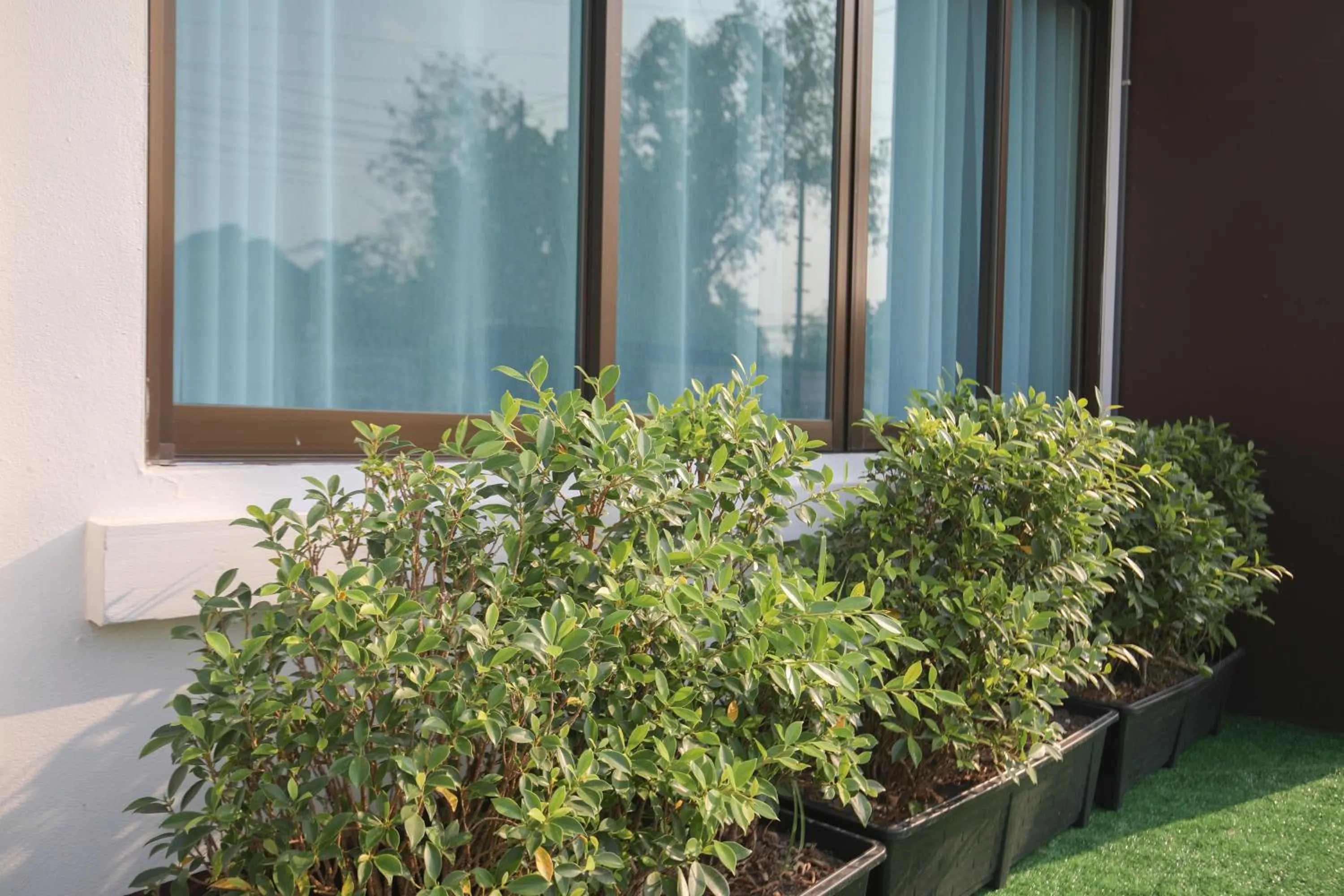 Day in Chiangmai View Home