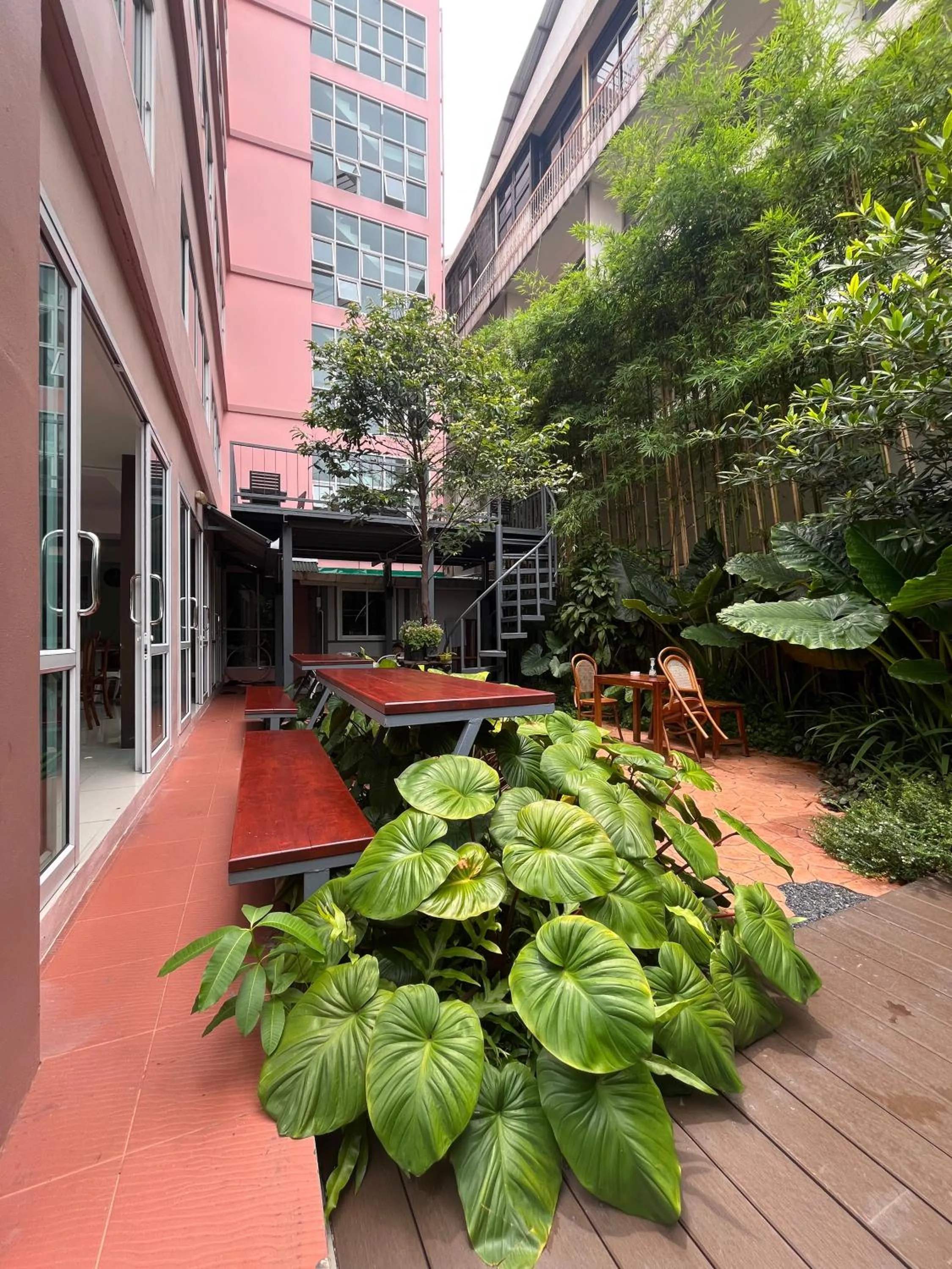 Garden in Bonita House