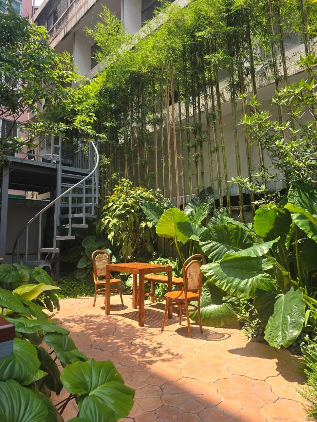 Garden in Bonita House