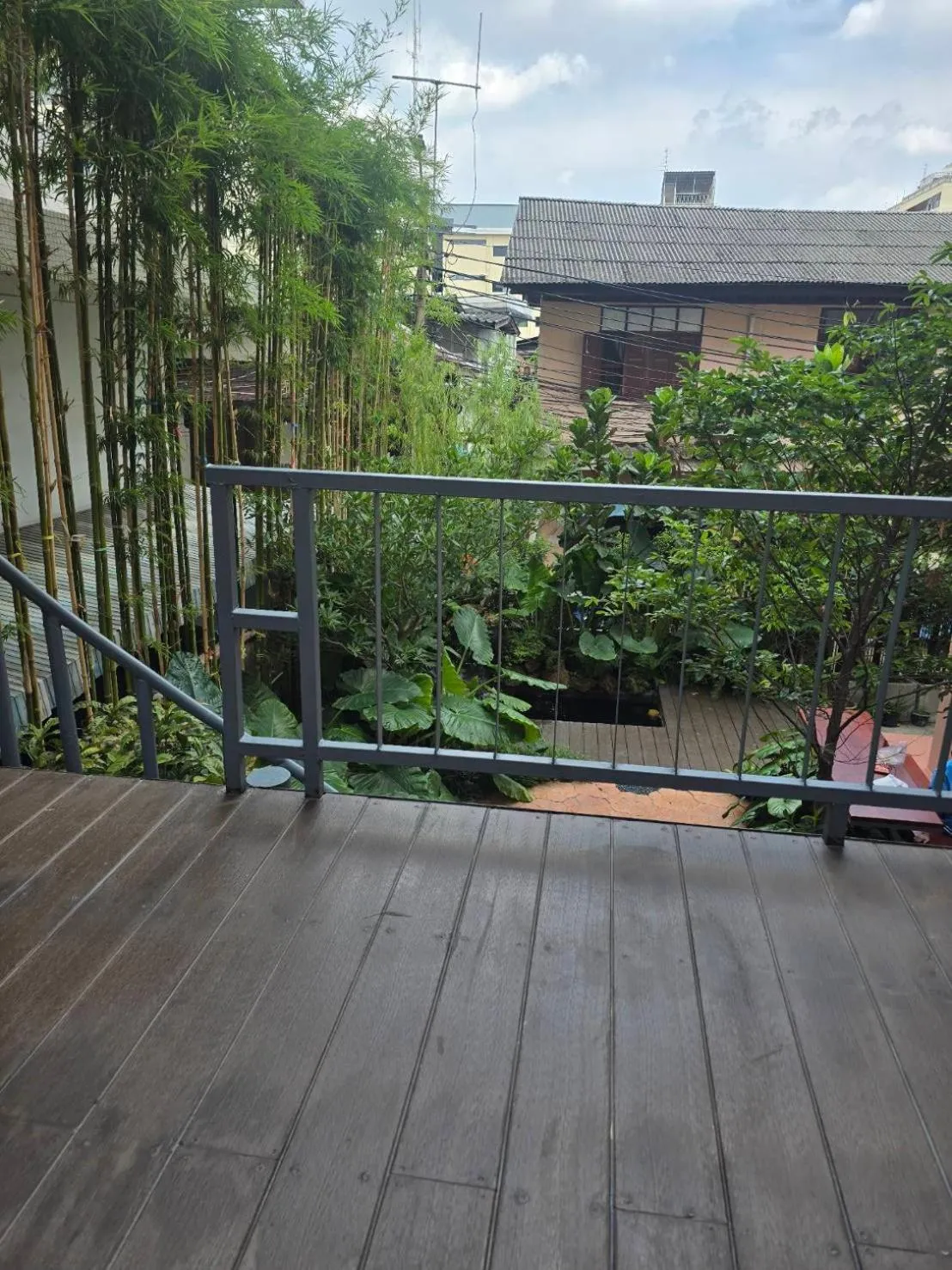 Garden in Bonita House