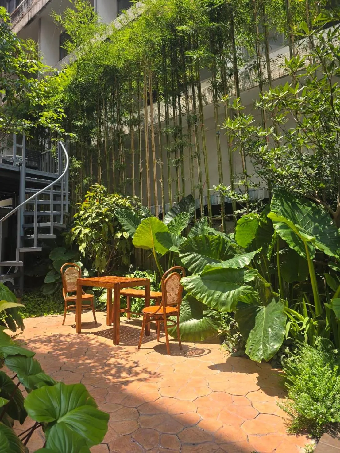 Garden in Bonita House