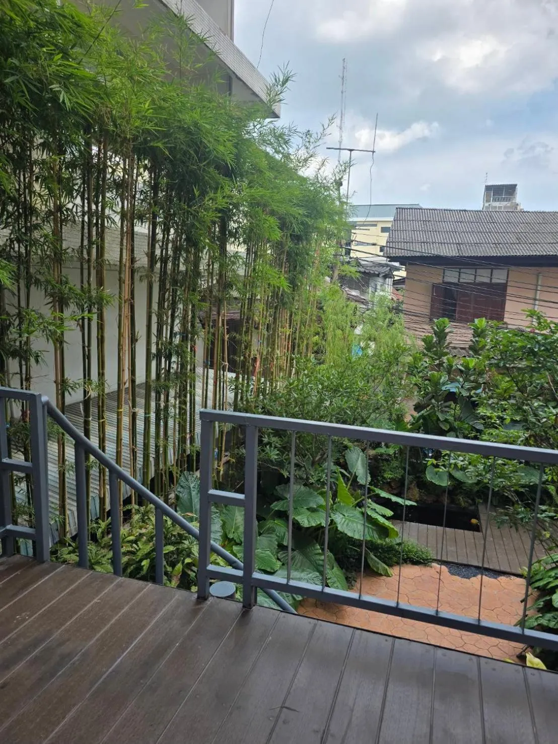 Garden in Bonita House