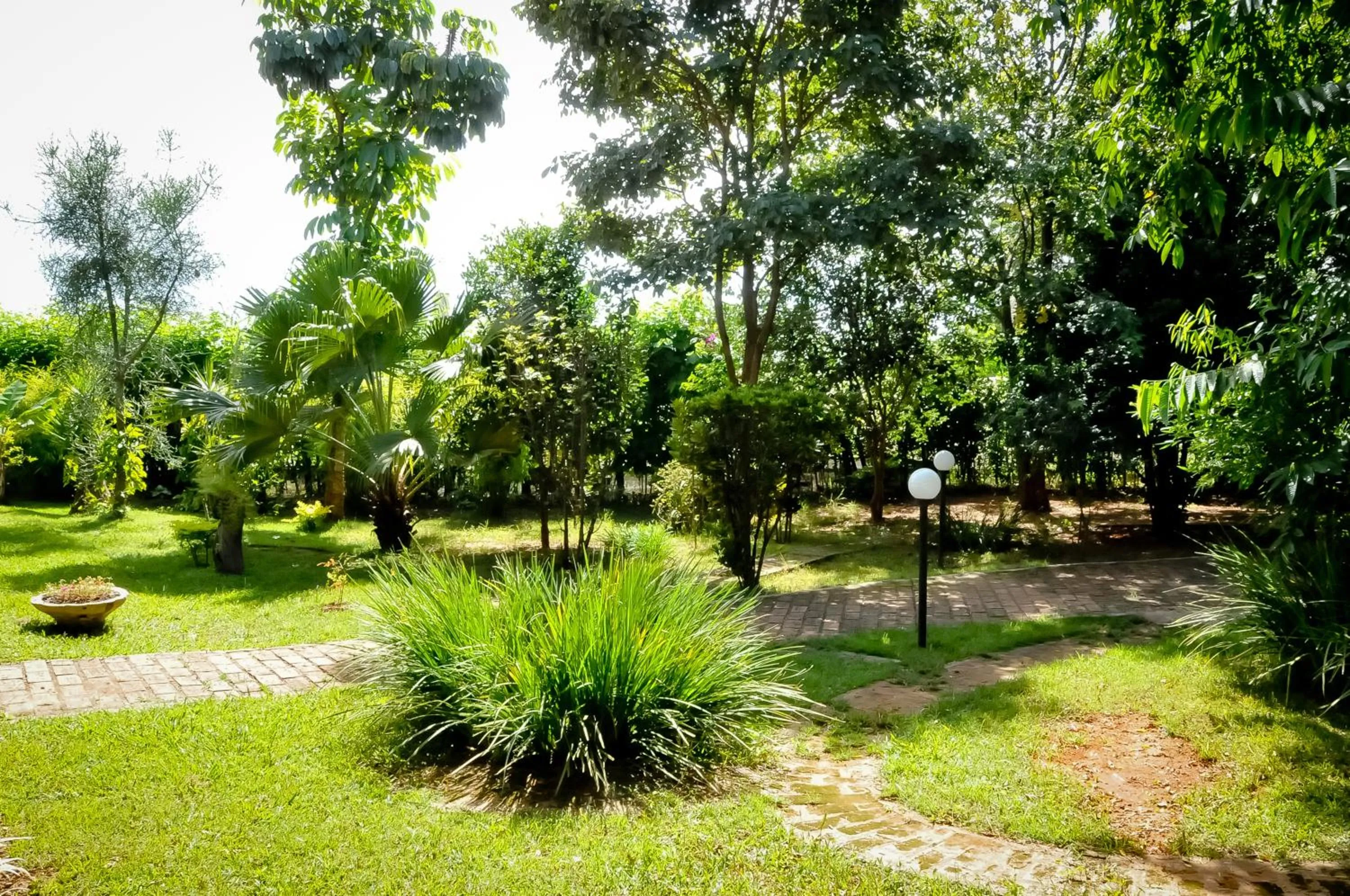 Garden in Hotel Nova Odessa - OFICIAL