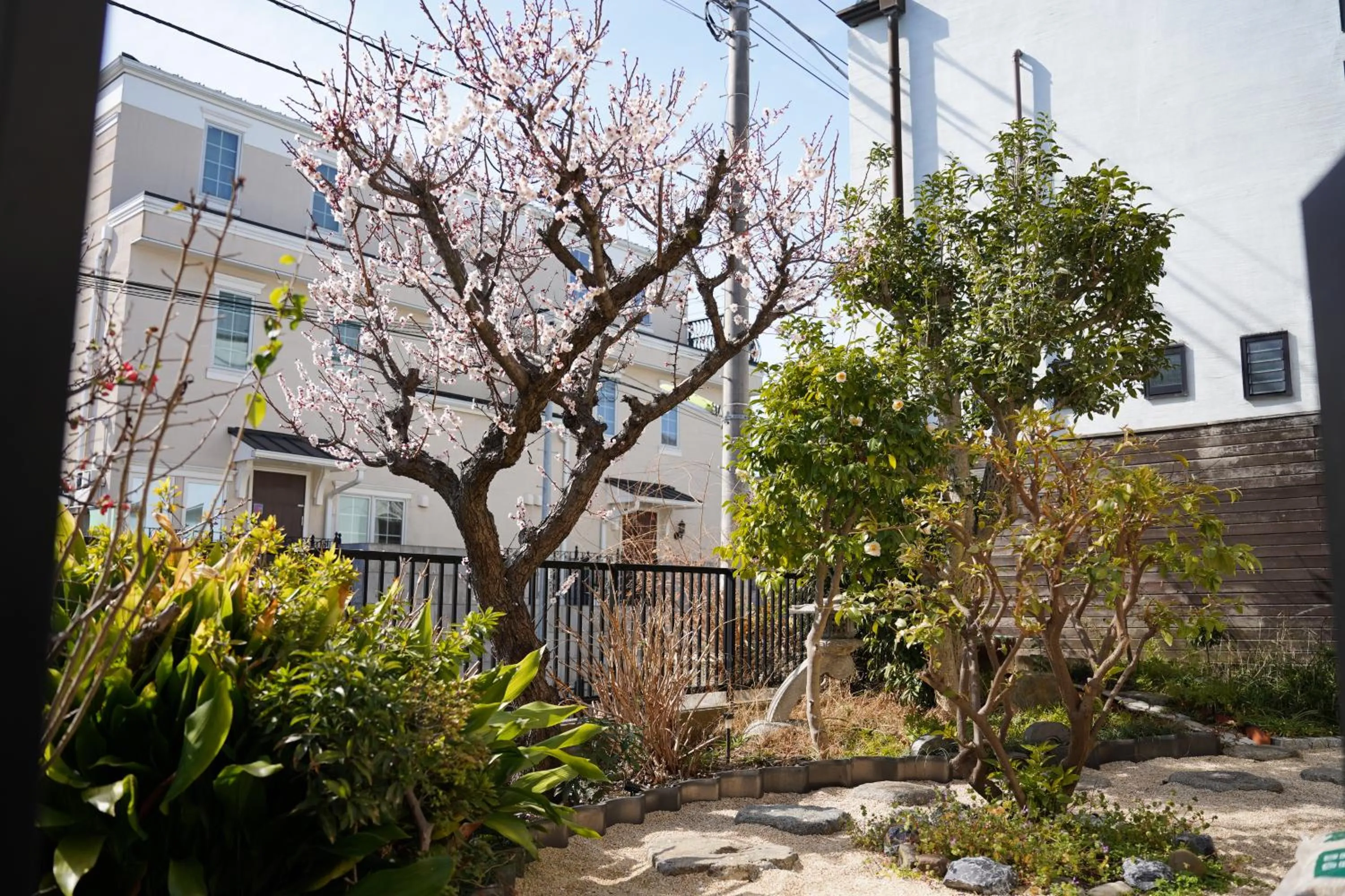 Spring in Shimokitazawa Akima