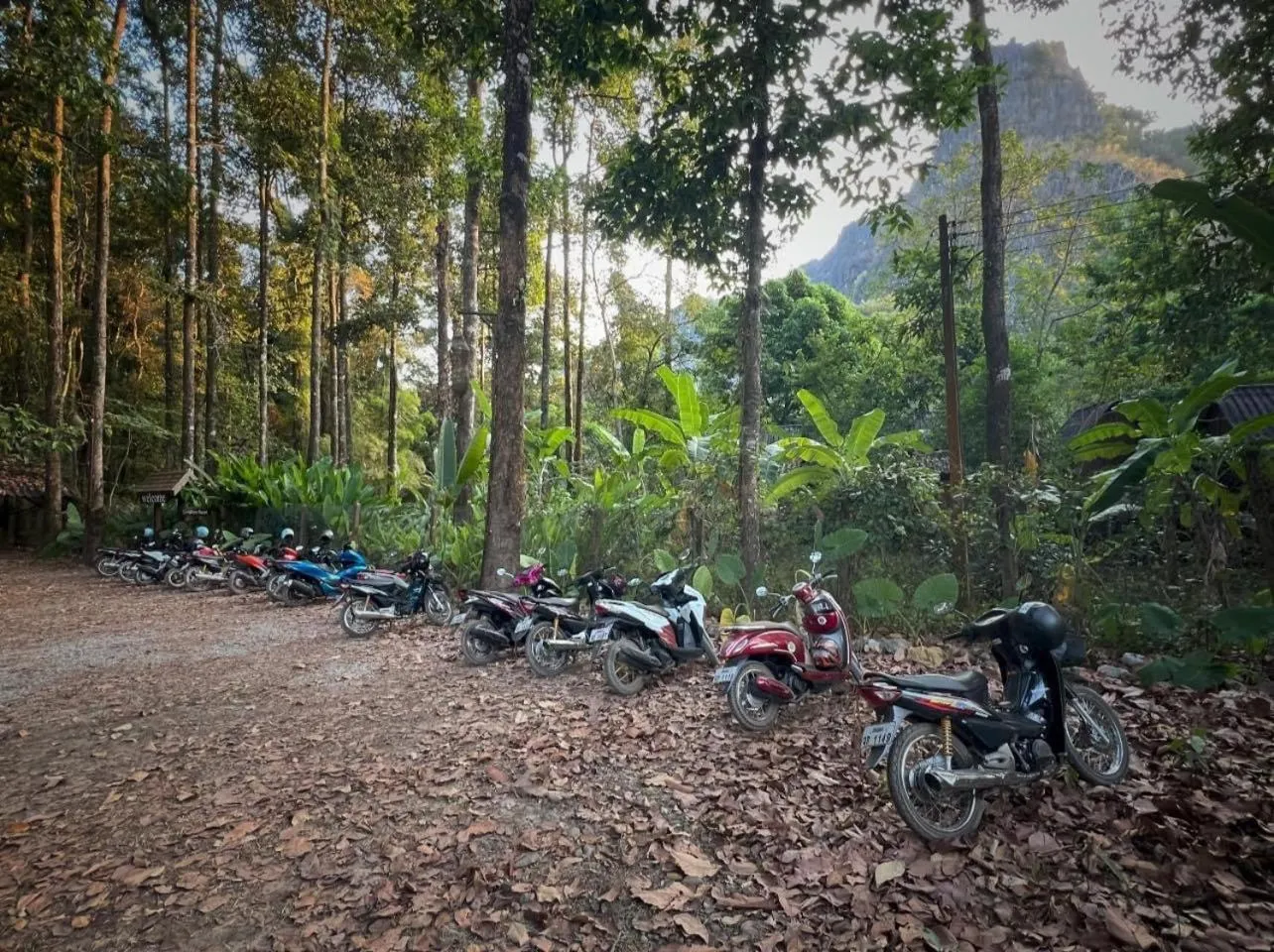 Parking in SpringRiver Resort