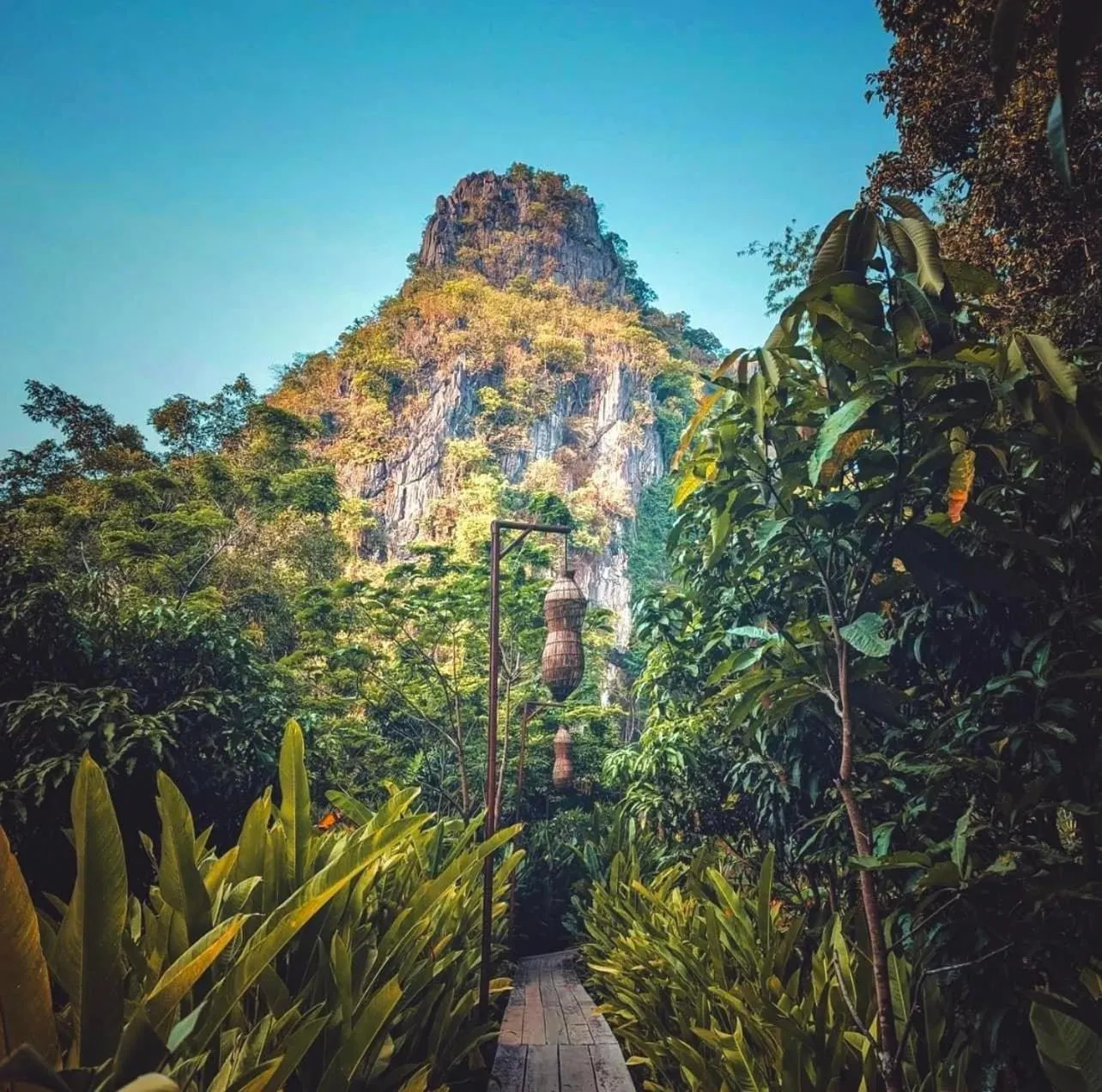 Garden view in SpringRiver Resort