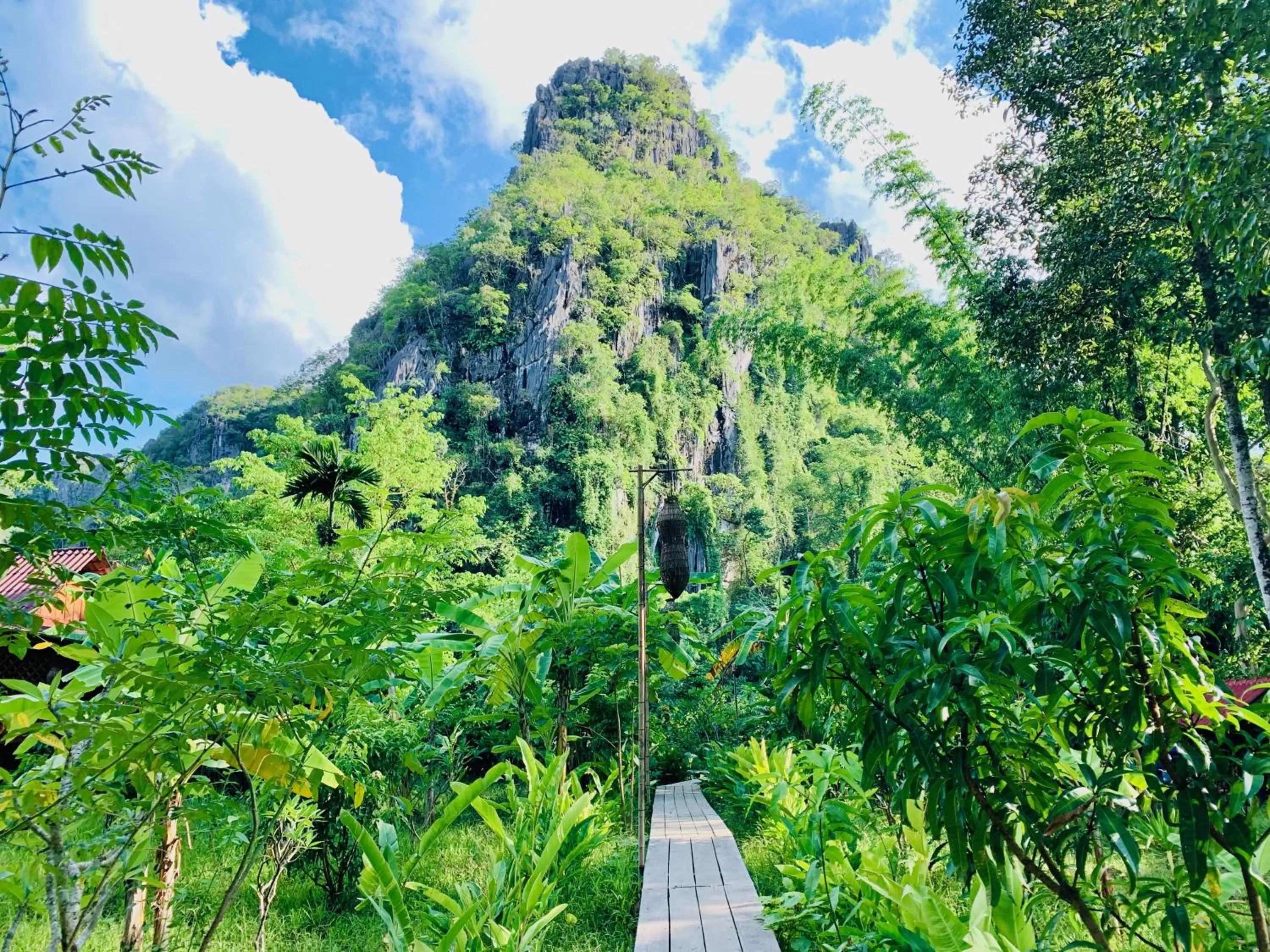 Garden in SpringRiver Resort