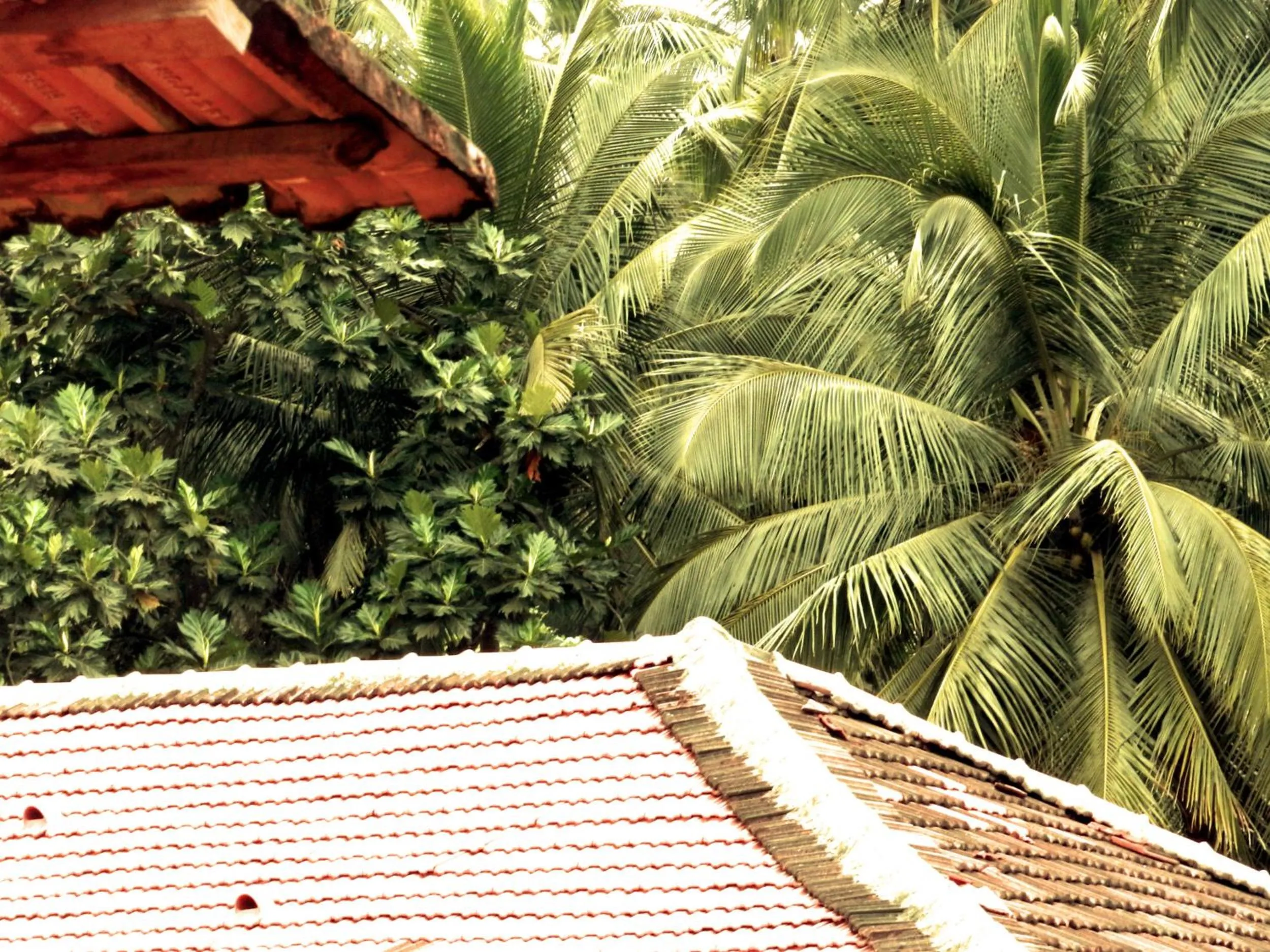 View (from property/room) in The Old Quarter Hostel