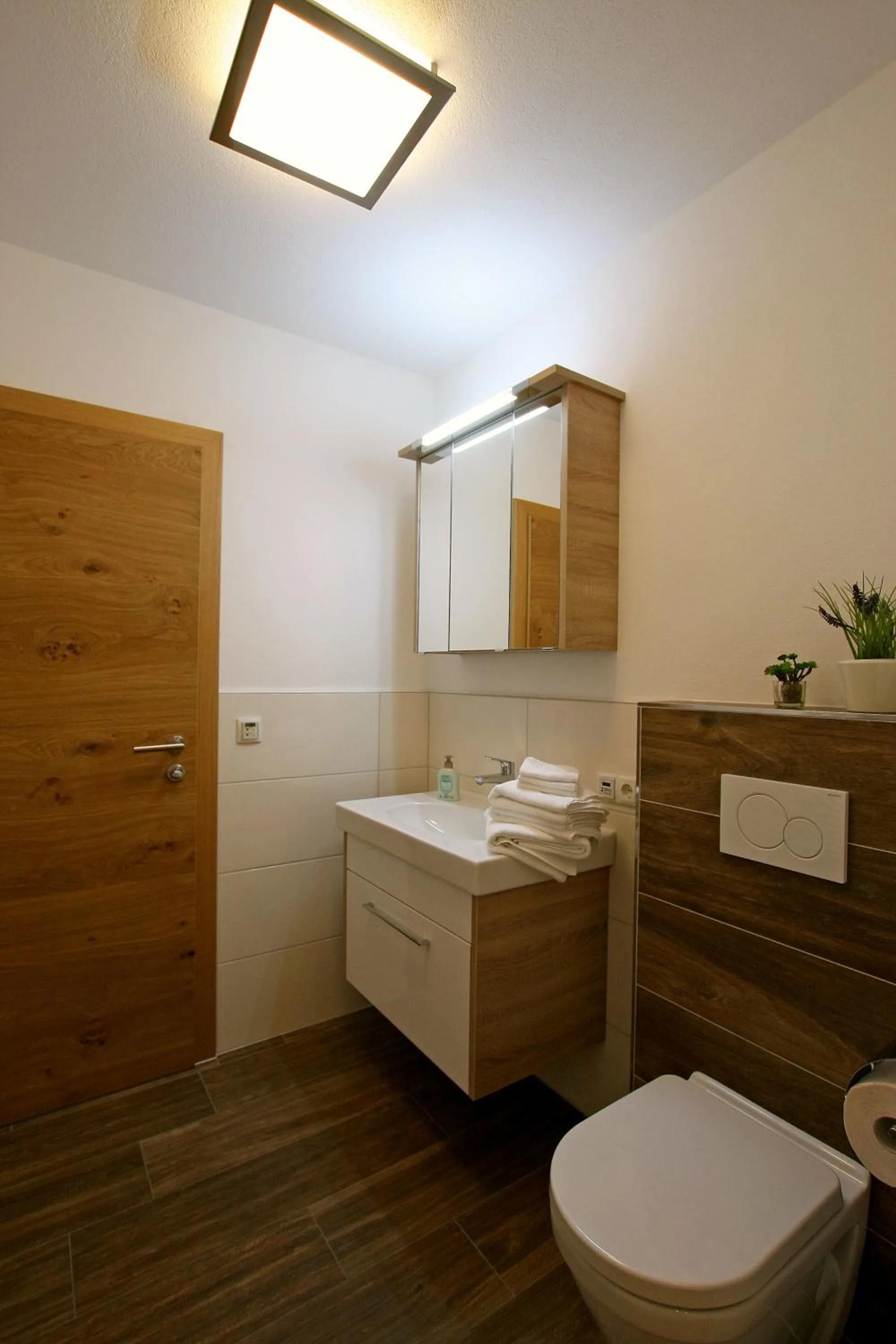 Shower in Appartement Matthias