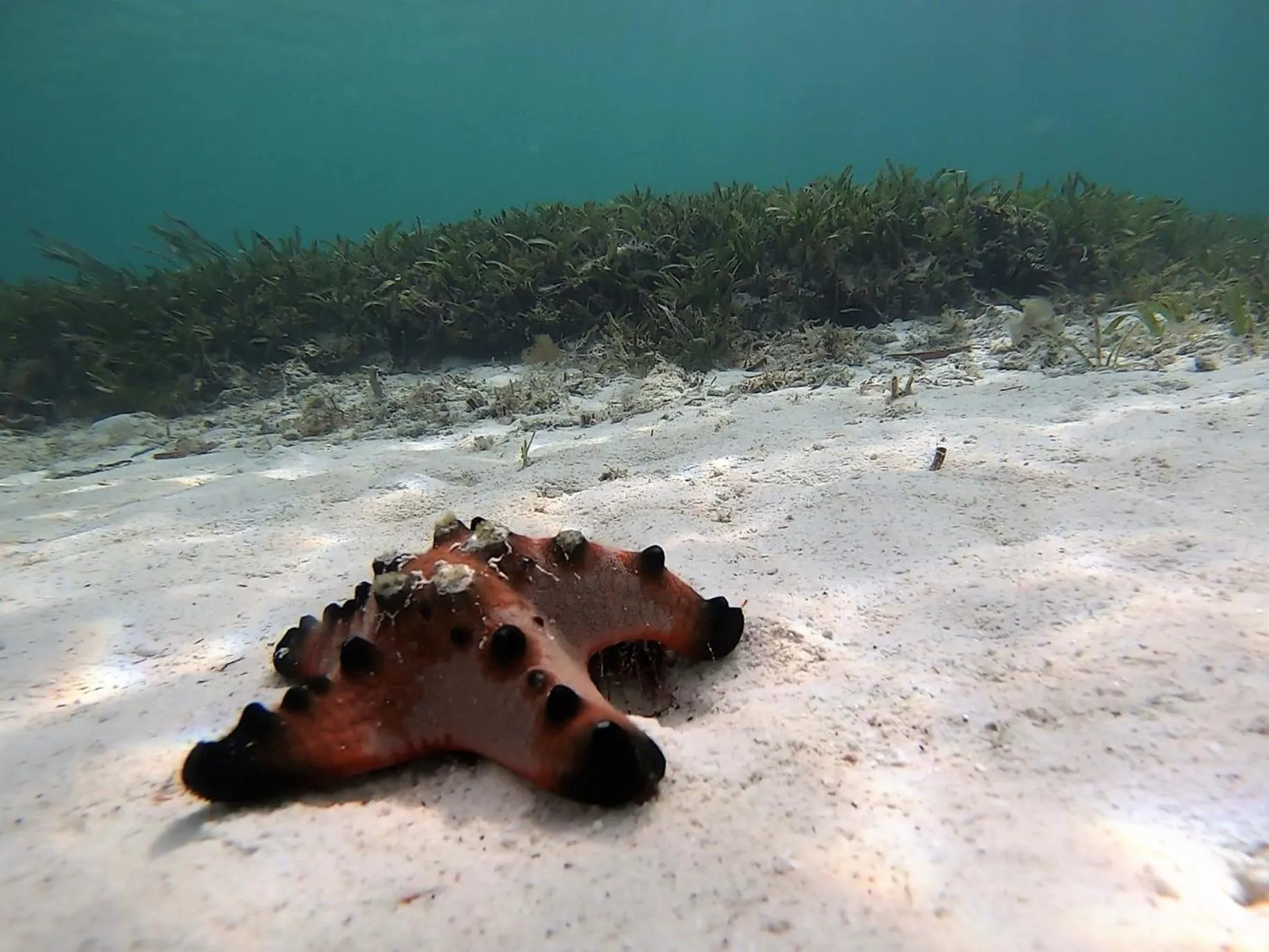 Beach in Casa Amihan