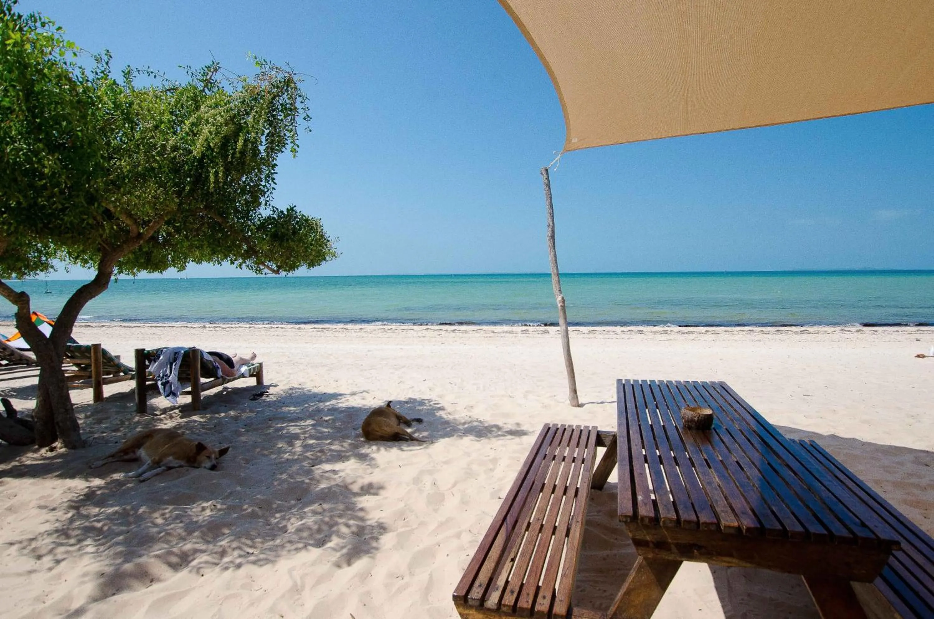 Beach in Casa Cabana Beach