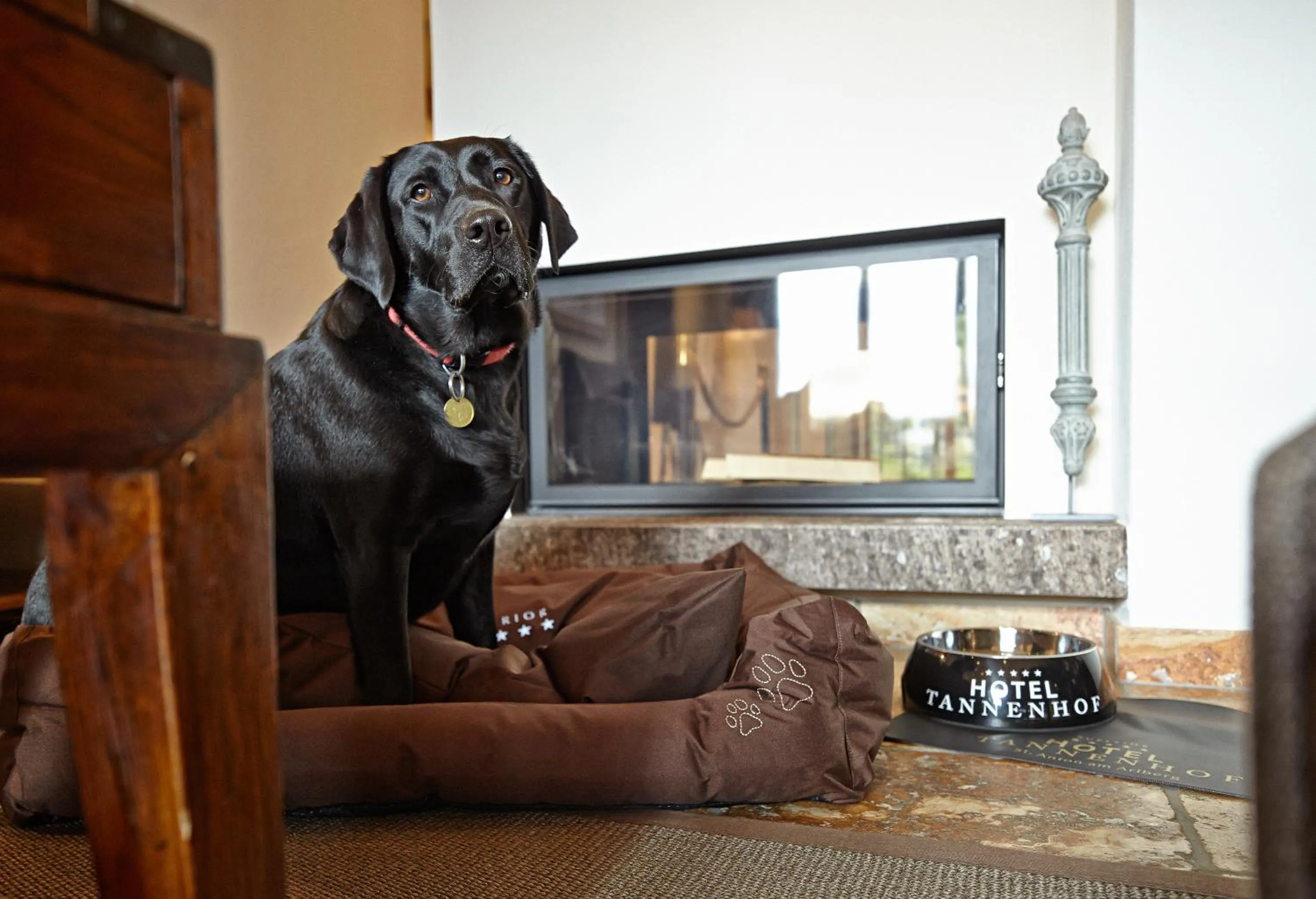 Pets in Hotel Tannenhof*****Superior