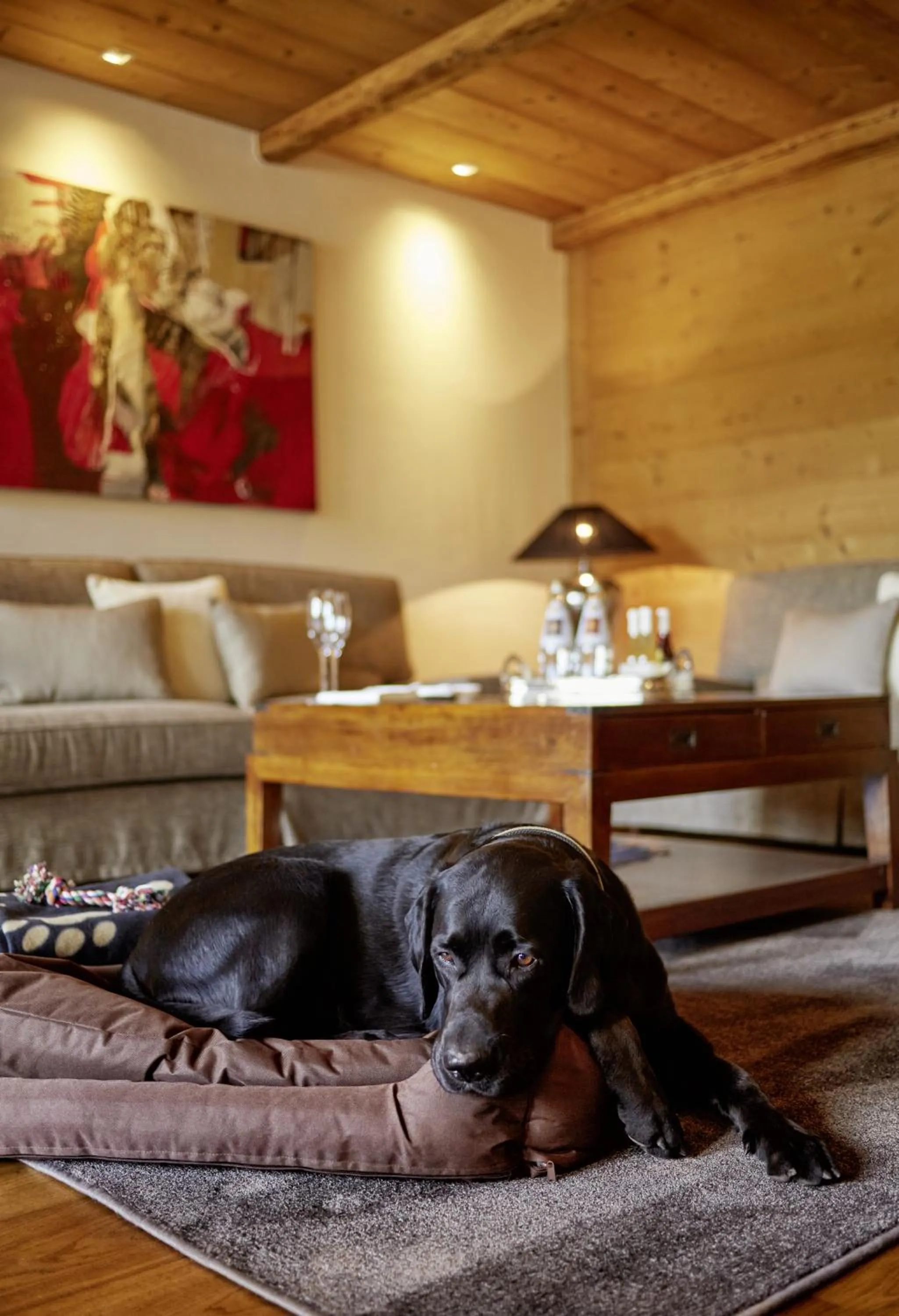 Pets in Hotel Tannenhof*****Superior