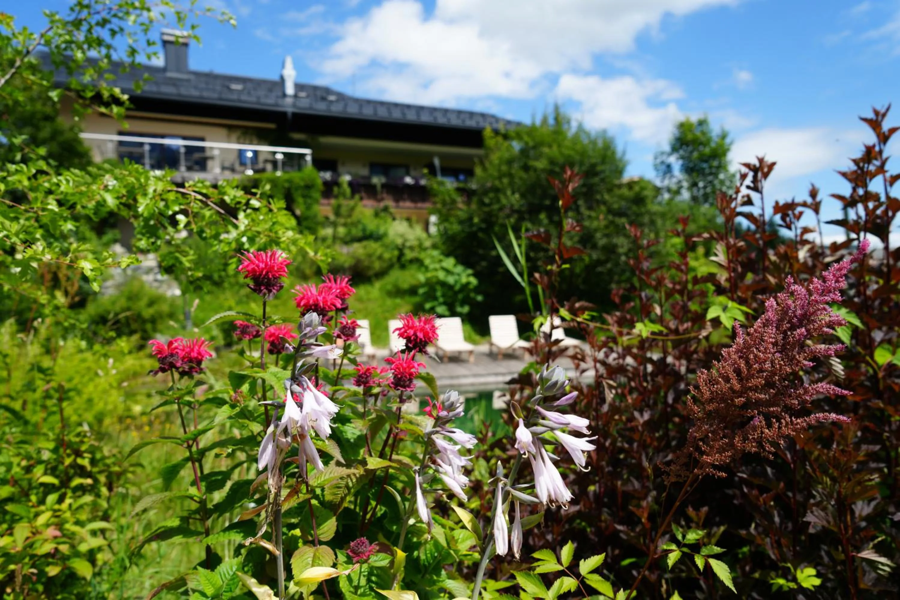 Day in Boutique Hotel Herzhof - Garni-Appartements - Adults Only