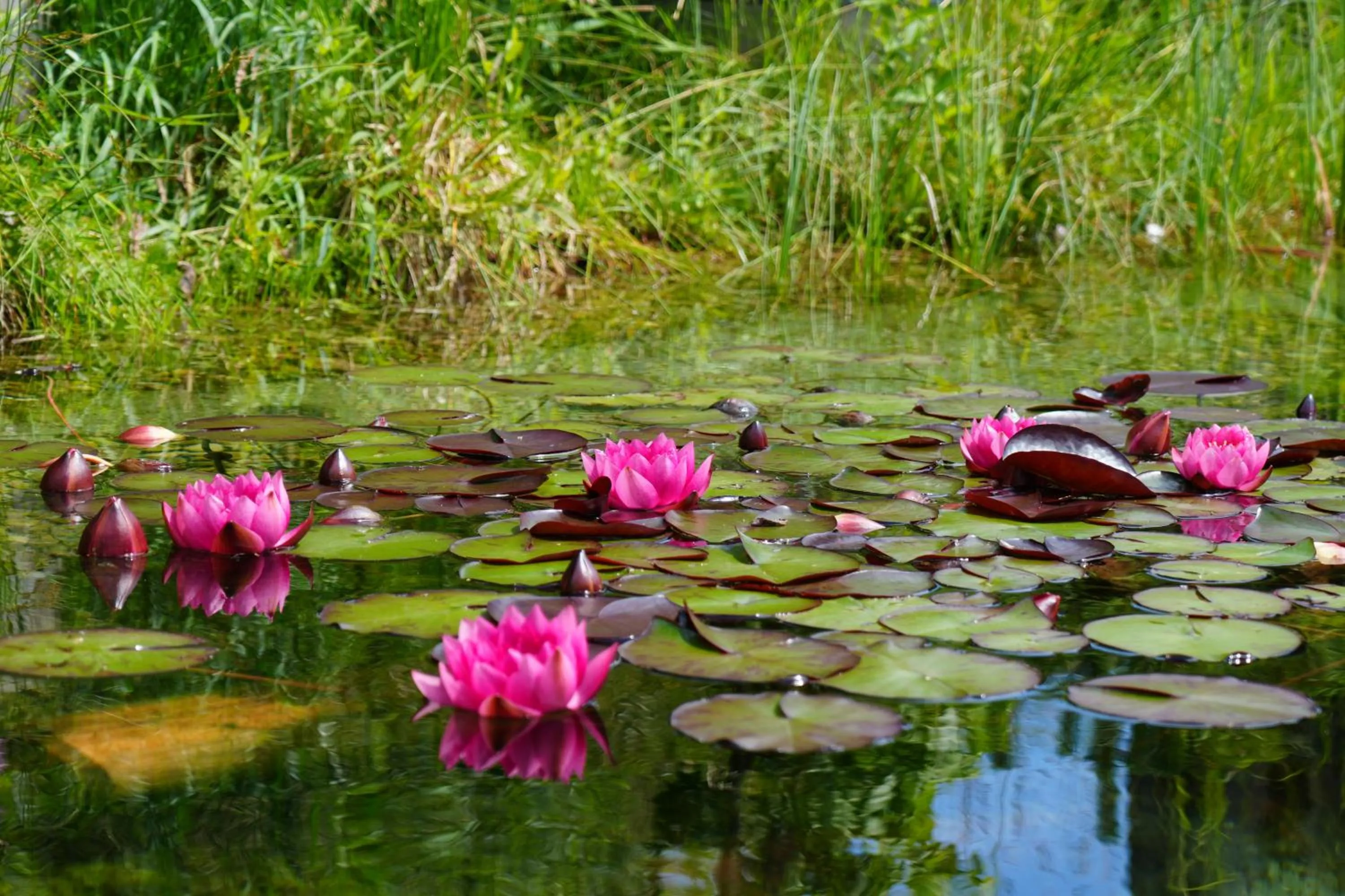 Day in Boutique Hotel Herzhof - Garni-Appartements - Adults Only