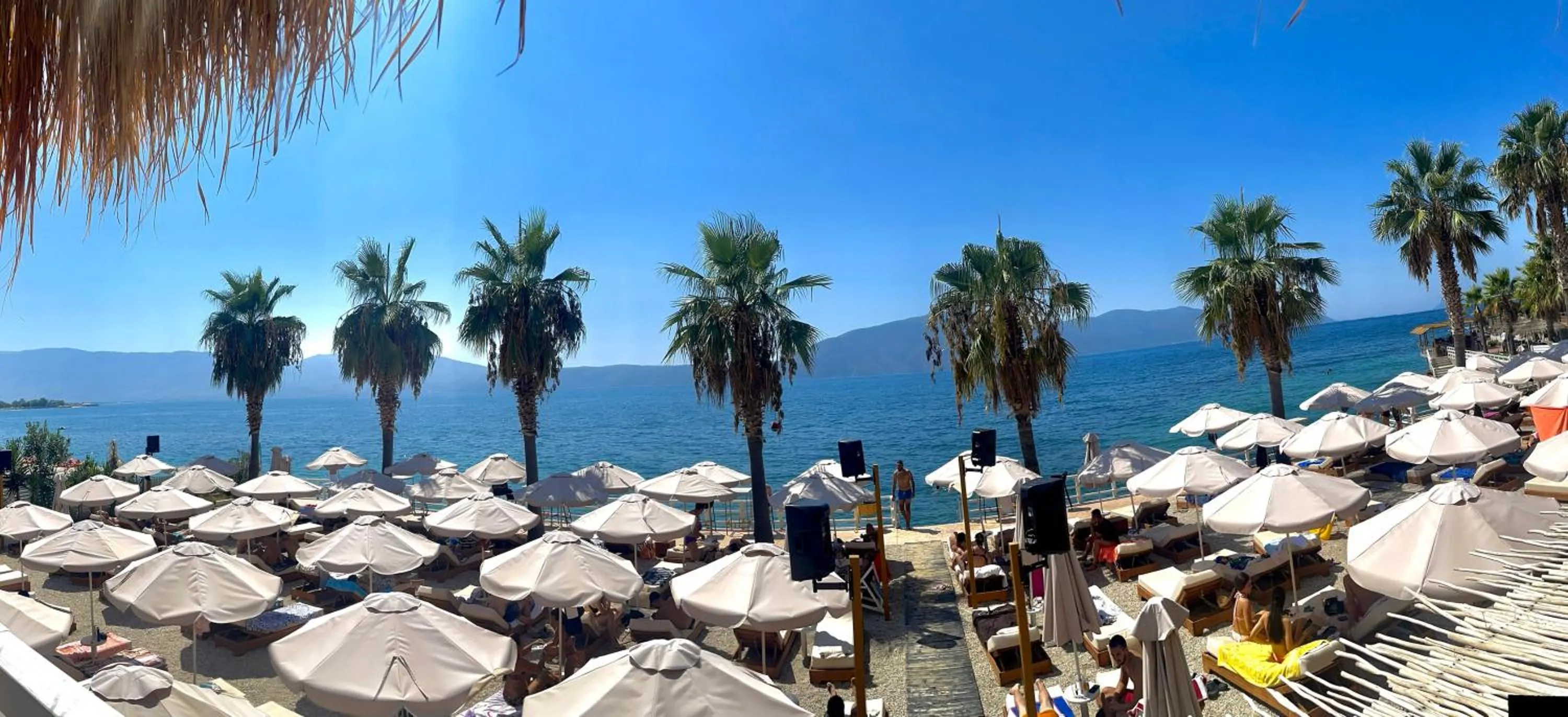 Beach in Coral Hotel & Resort