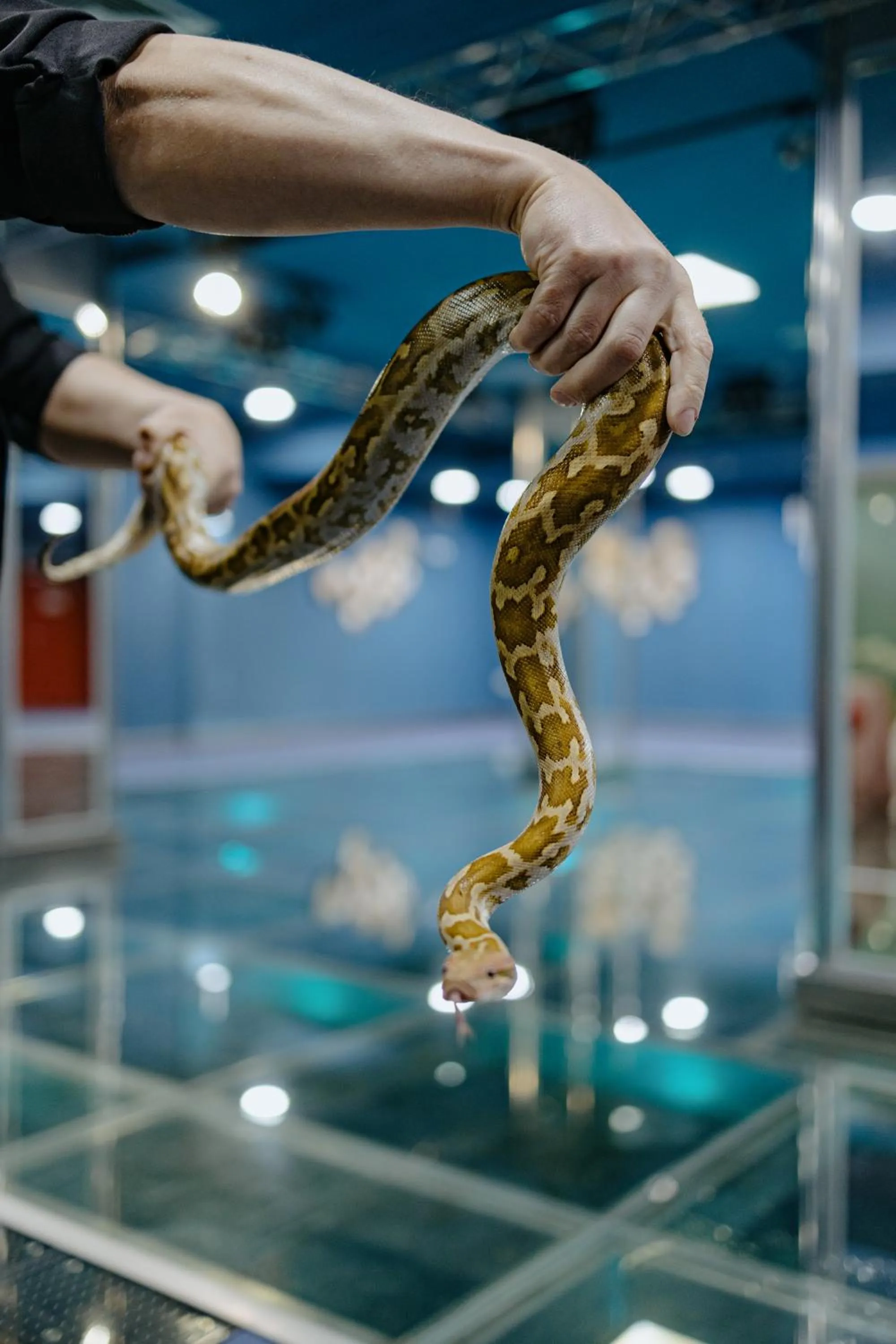 Property building in Caspian Riviera Grand Palace Hotel