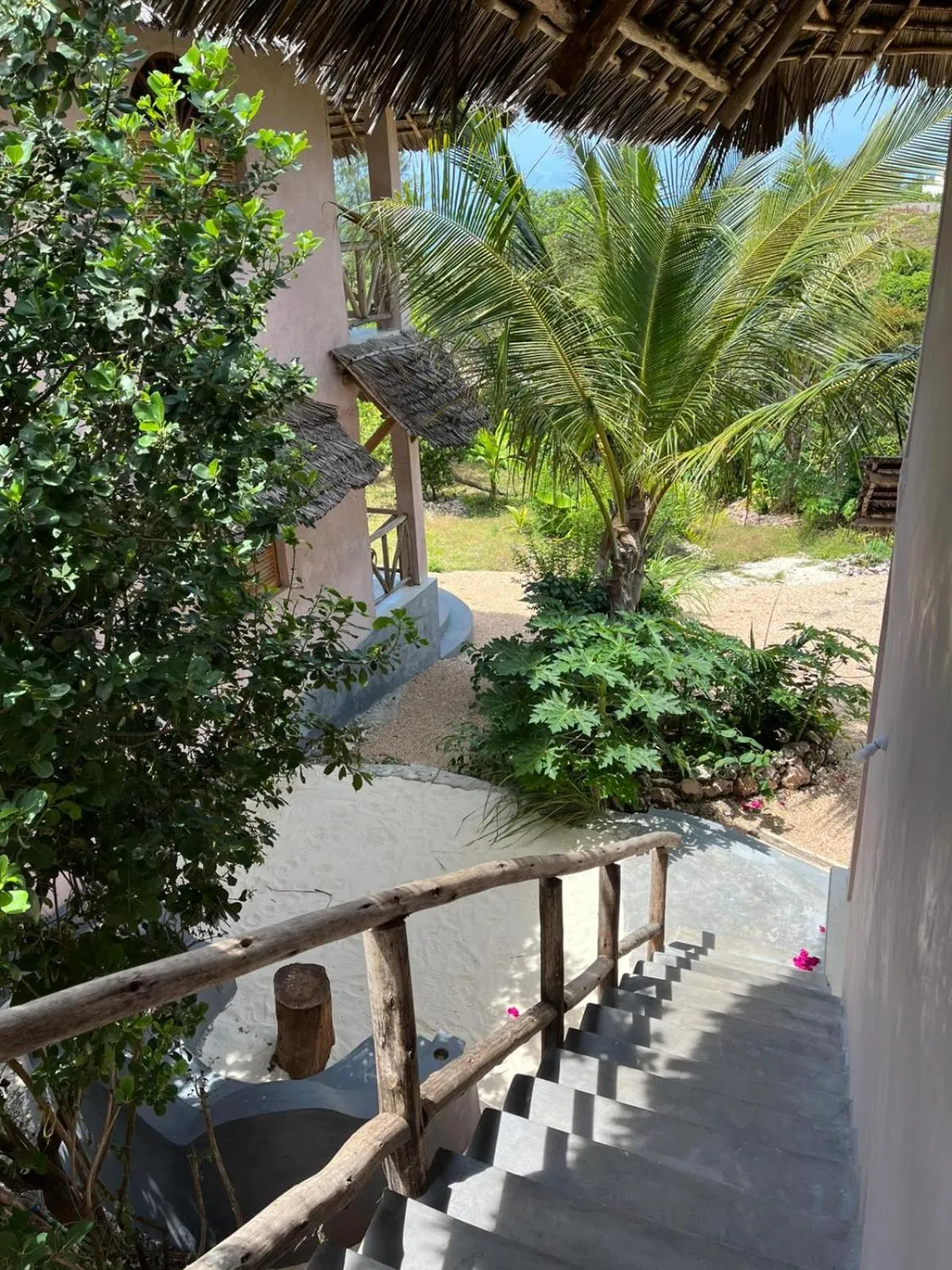 Garden view in Demani Lodge Zanzibar