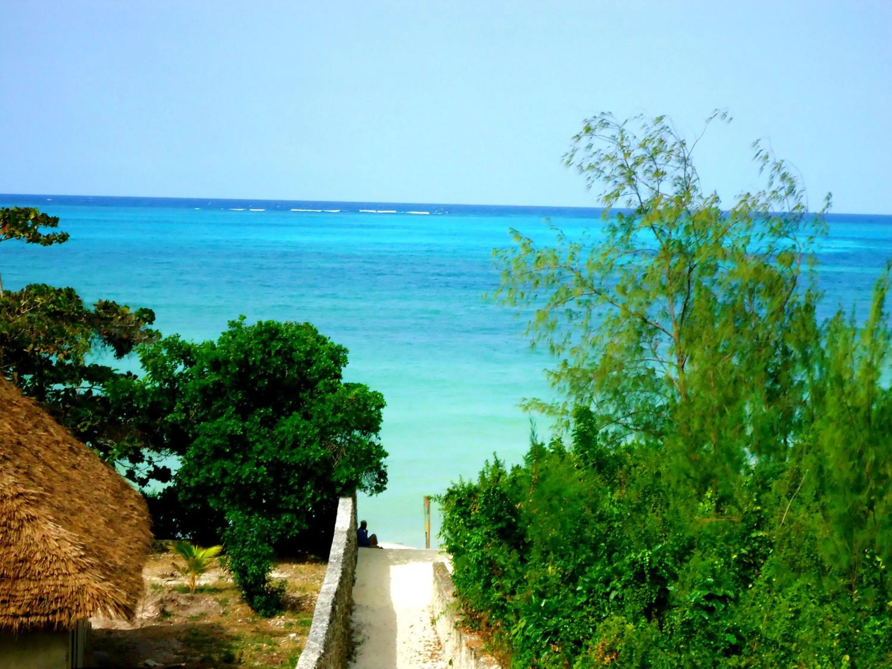 Beach in Demani Lodge Zanzibar