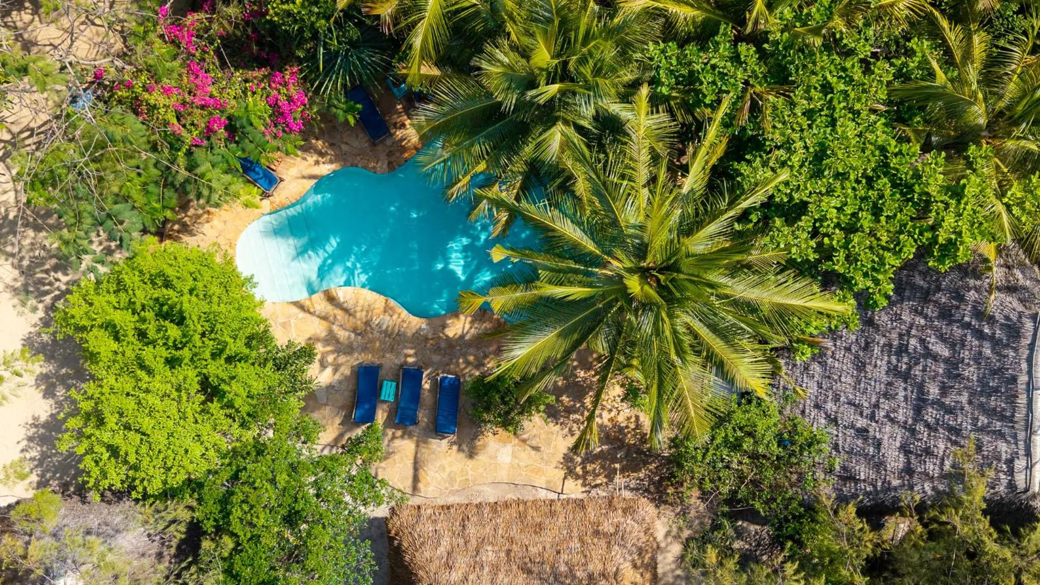 Bird's eye view in Demani Lodge Zanzibar