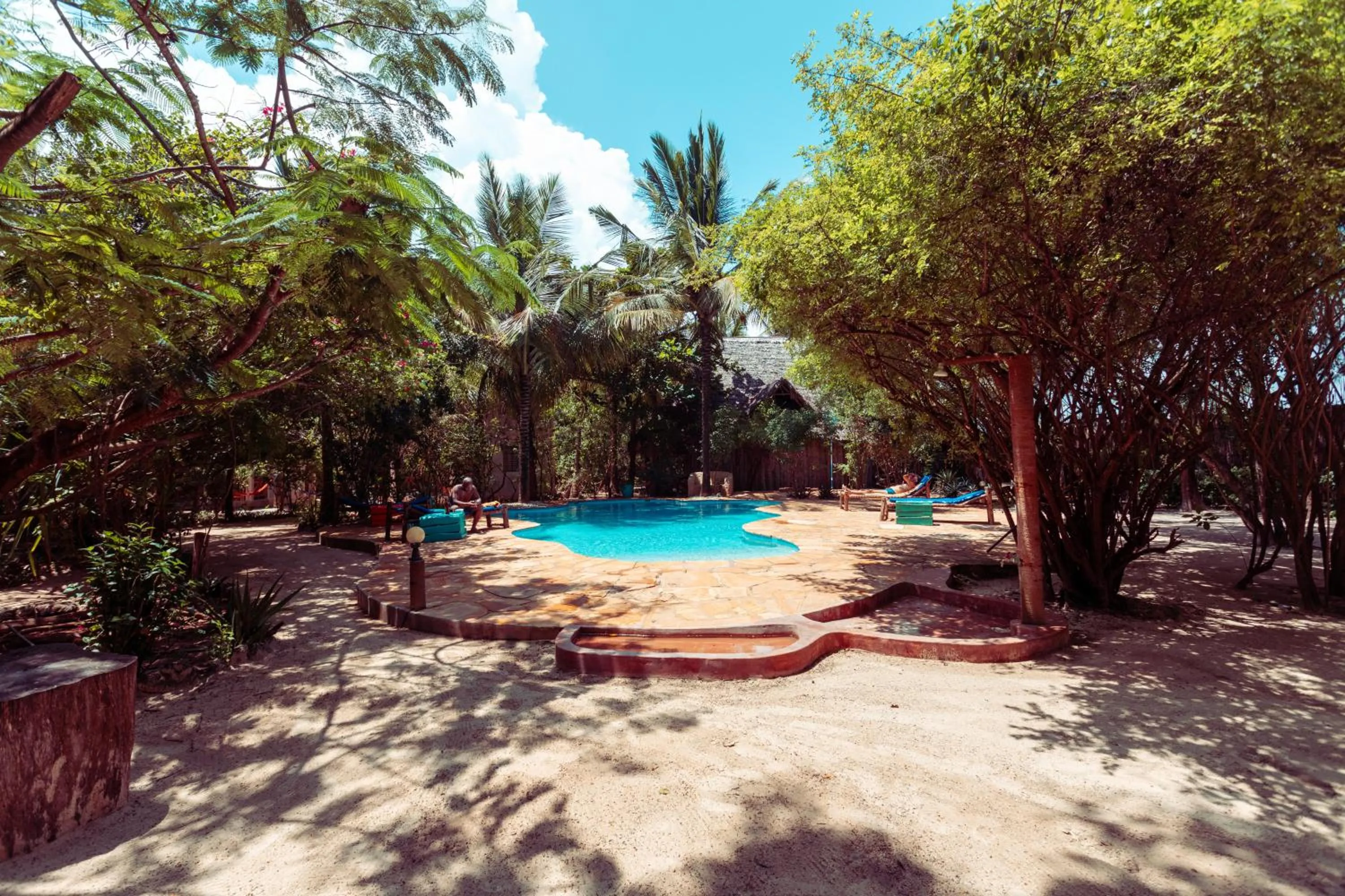 Natural landscape in Demani Lodge Zanzibar