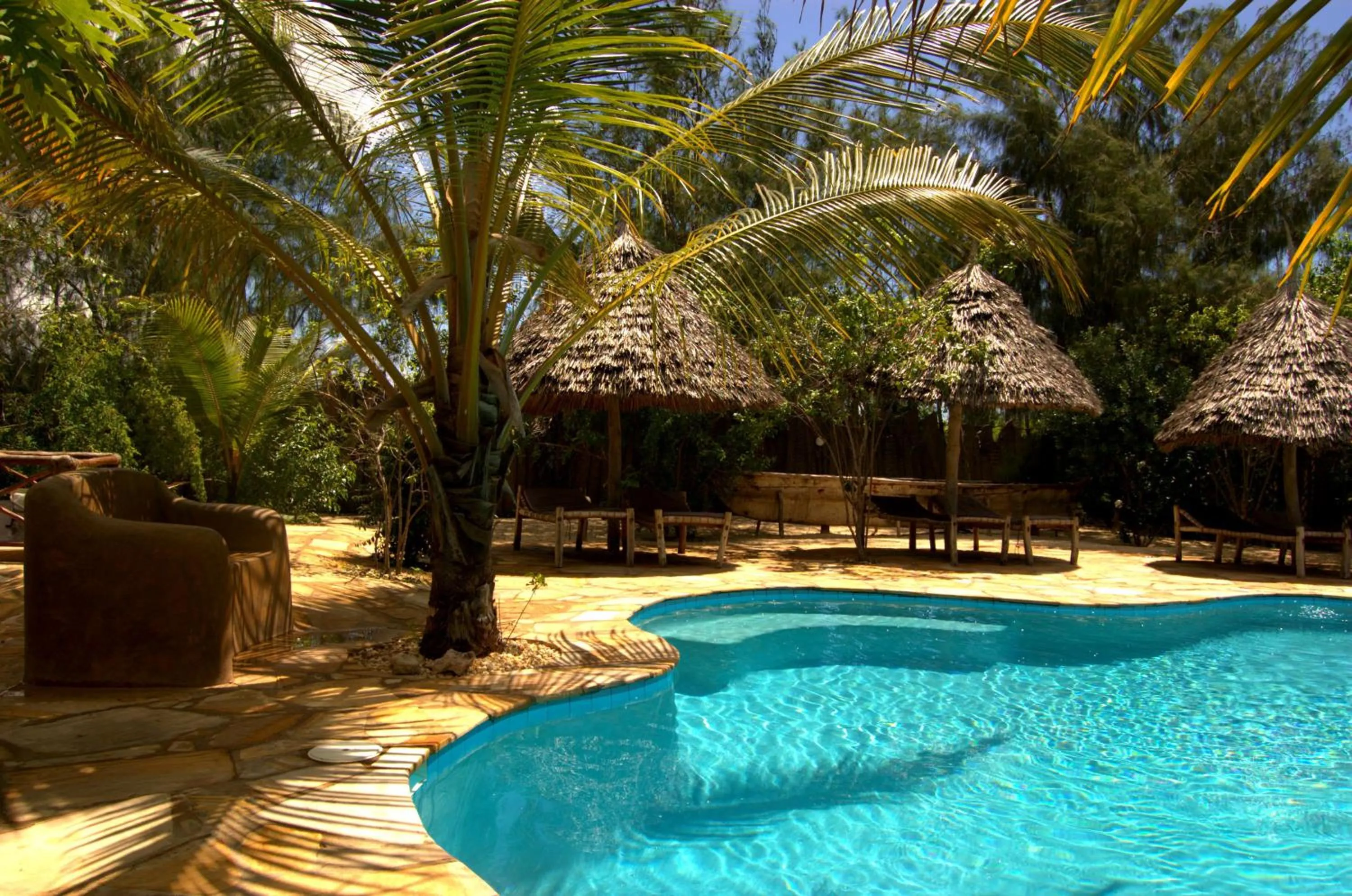 Swimming pool in Demani Lodge Zanzibar