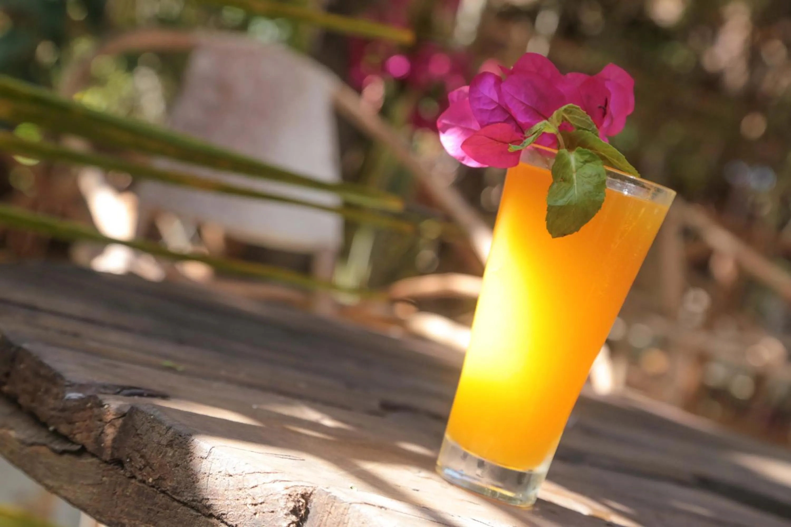 Restaurant/places to eat in Demani Lodge Zanzibar