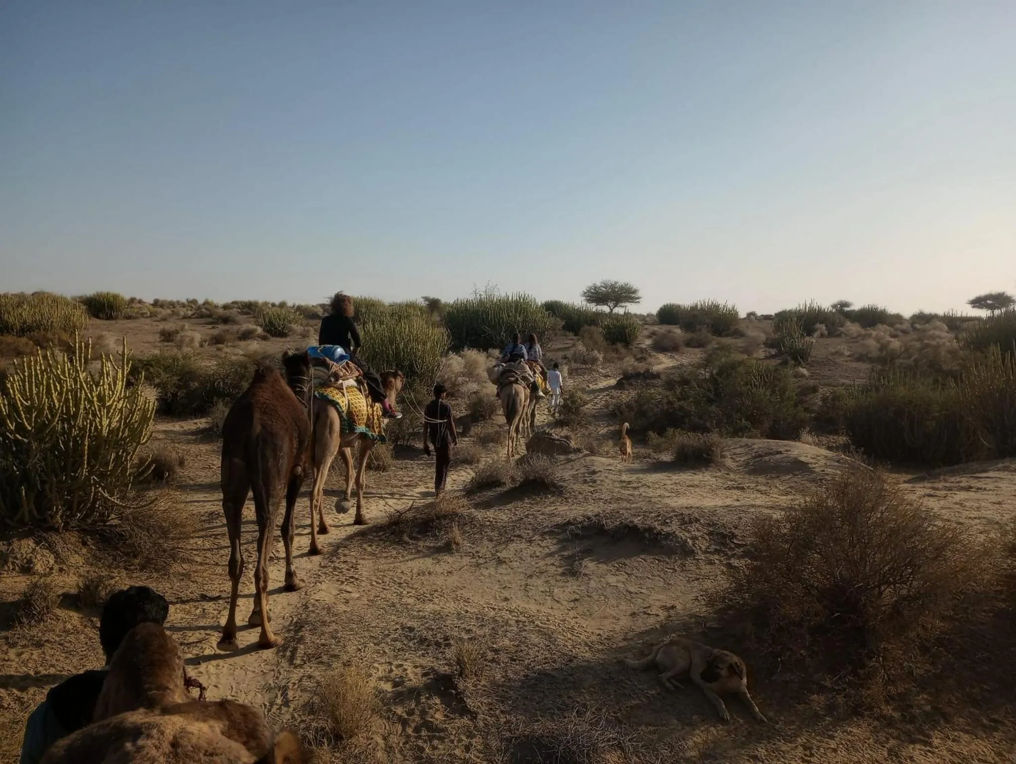 Hotel Pol Haveli Jaisalmer