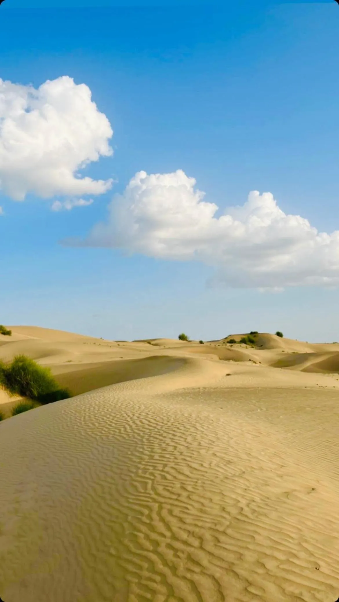 Day in Hotel Pol Haveli Jaisalmer