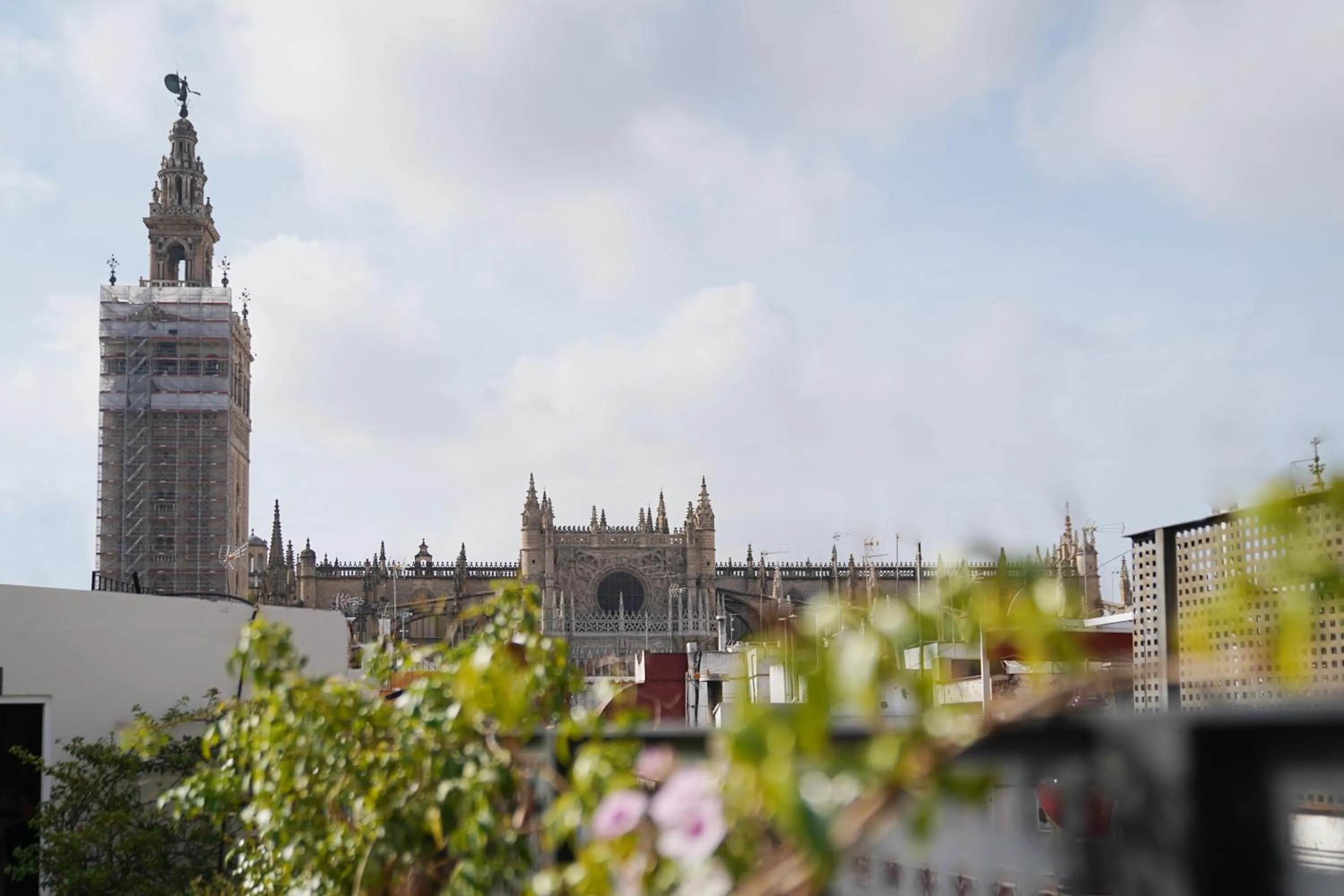 City view in Numa Seville Alegre