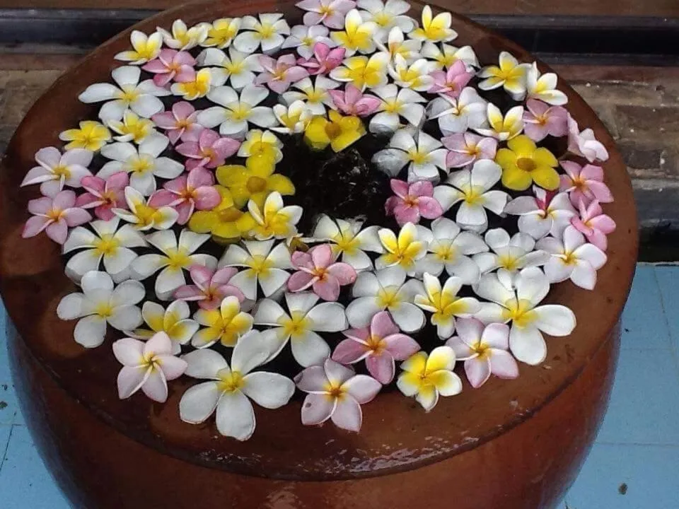 Orchid Boutique Beach Resort