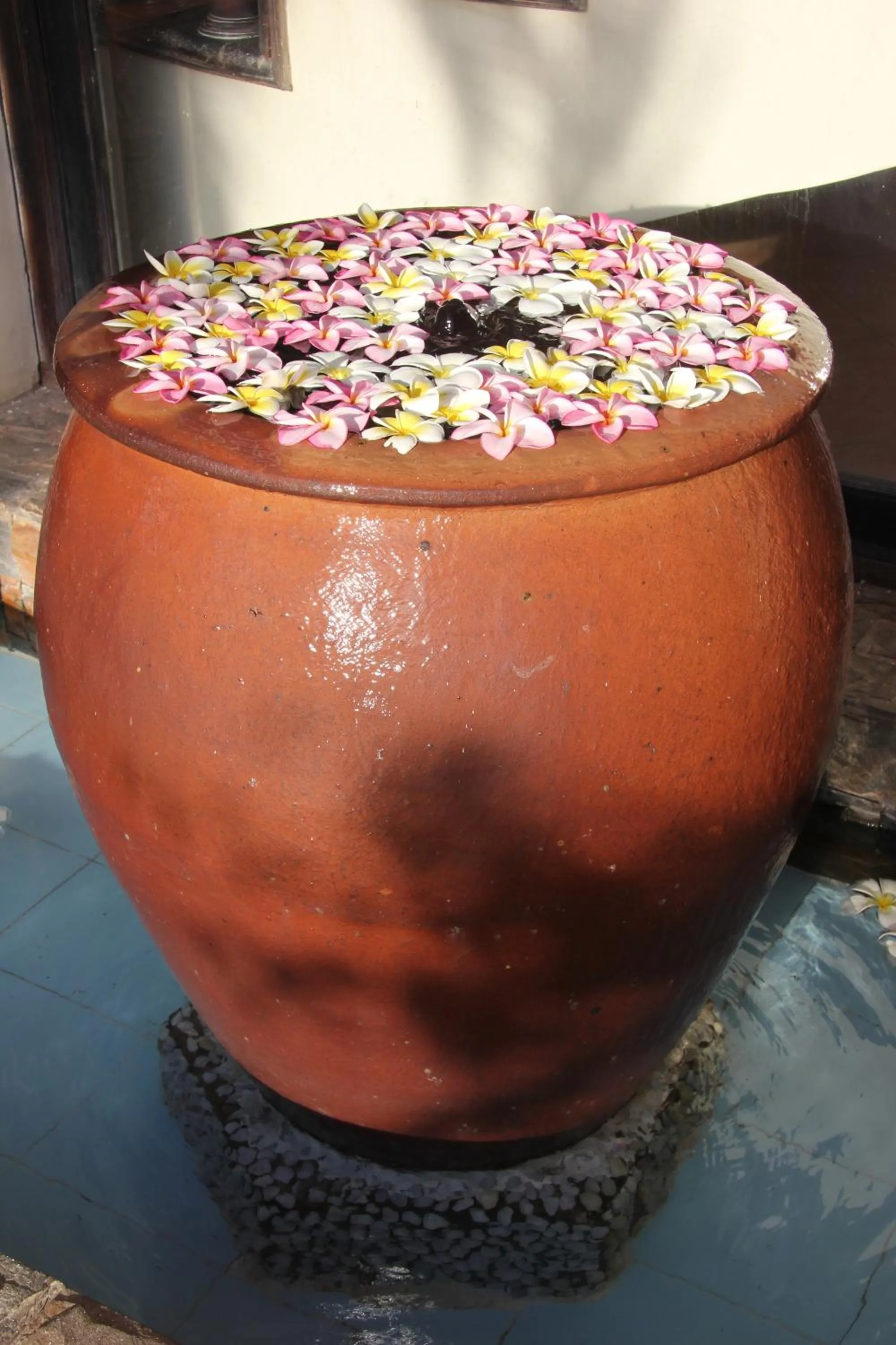 Other in Orchid Boutique Beach Resort