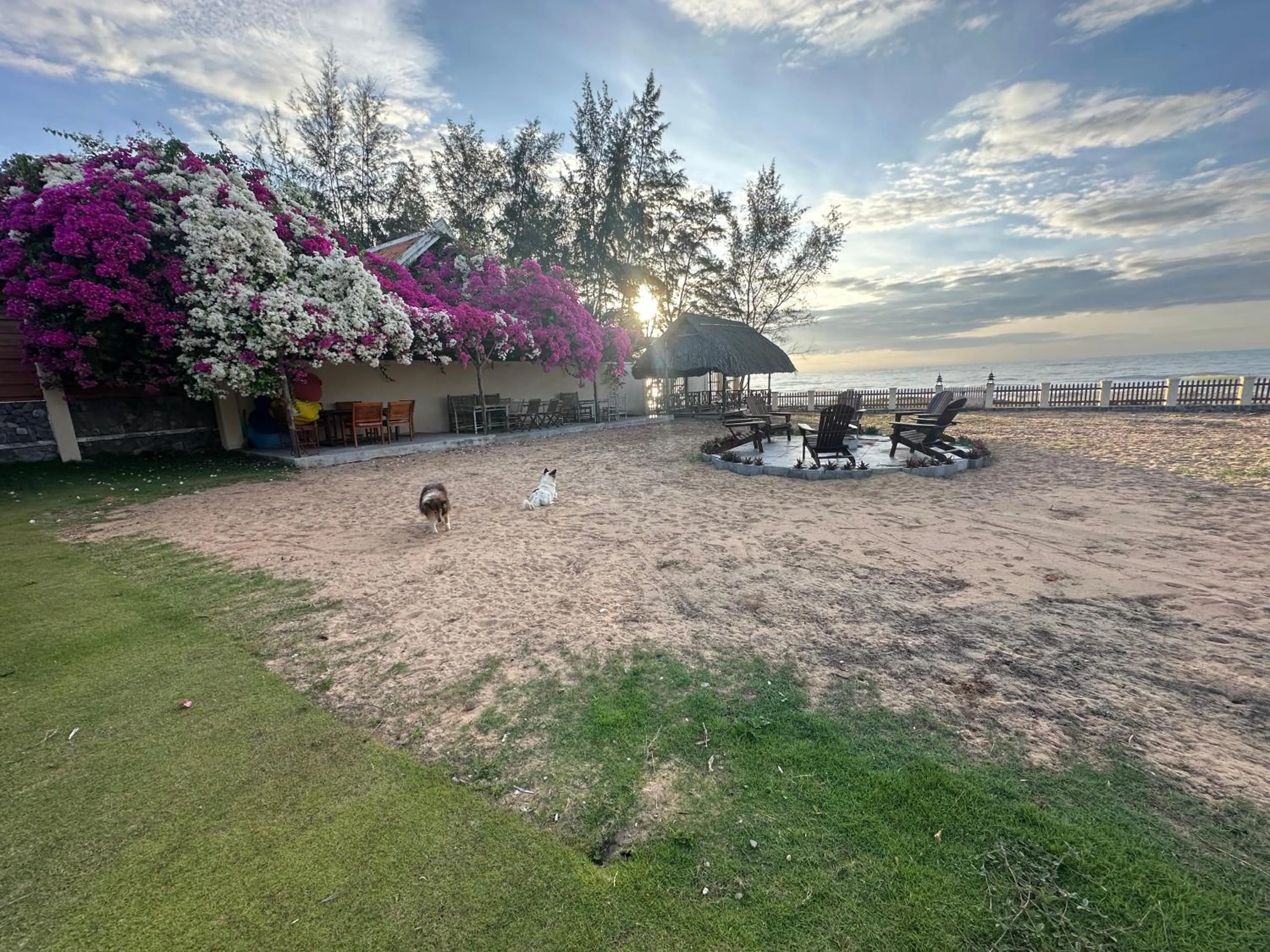 Orchid Boutique Beach Resort