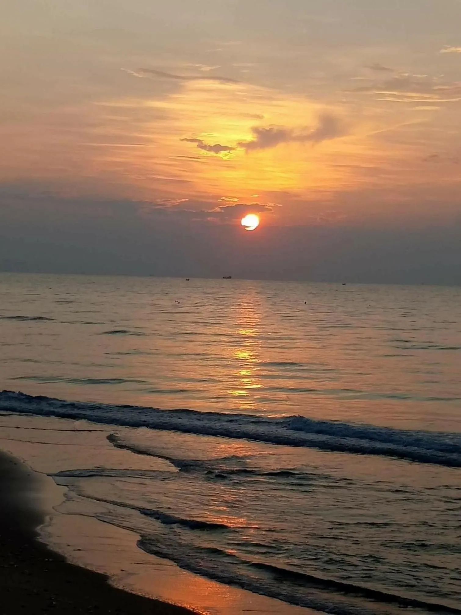 Beach in Orchid Boutique Beach Resort