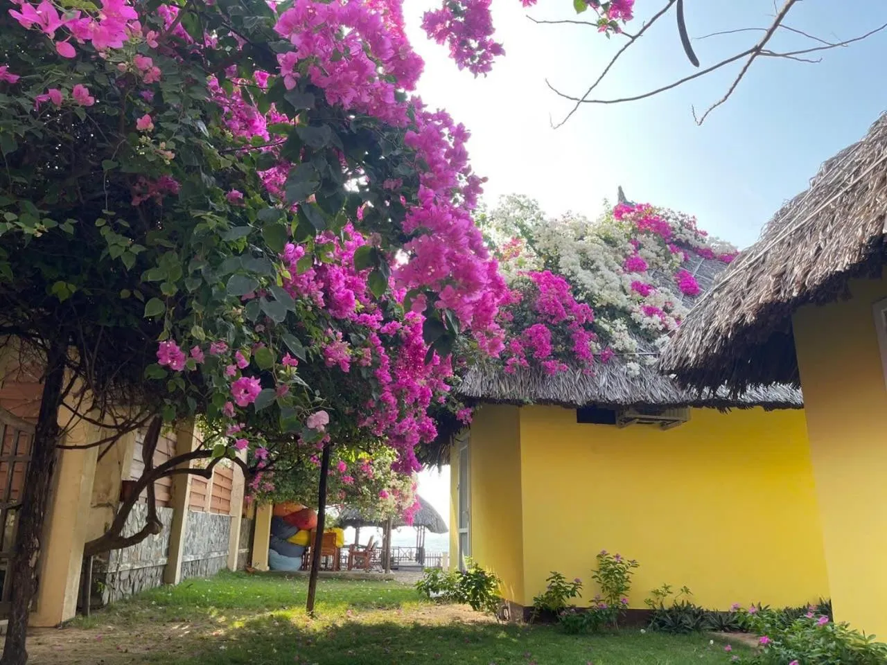 Orchid Boutique Beach Resort