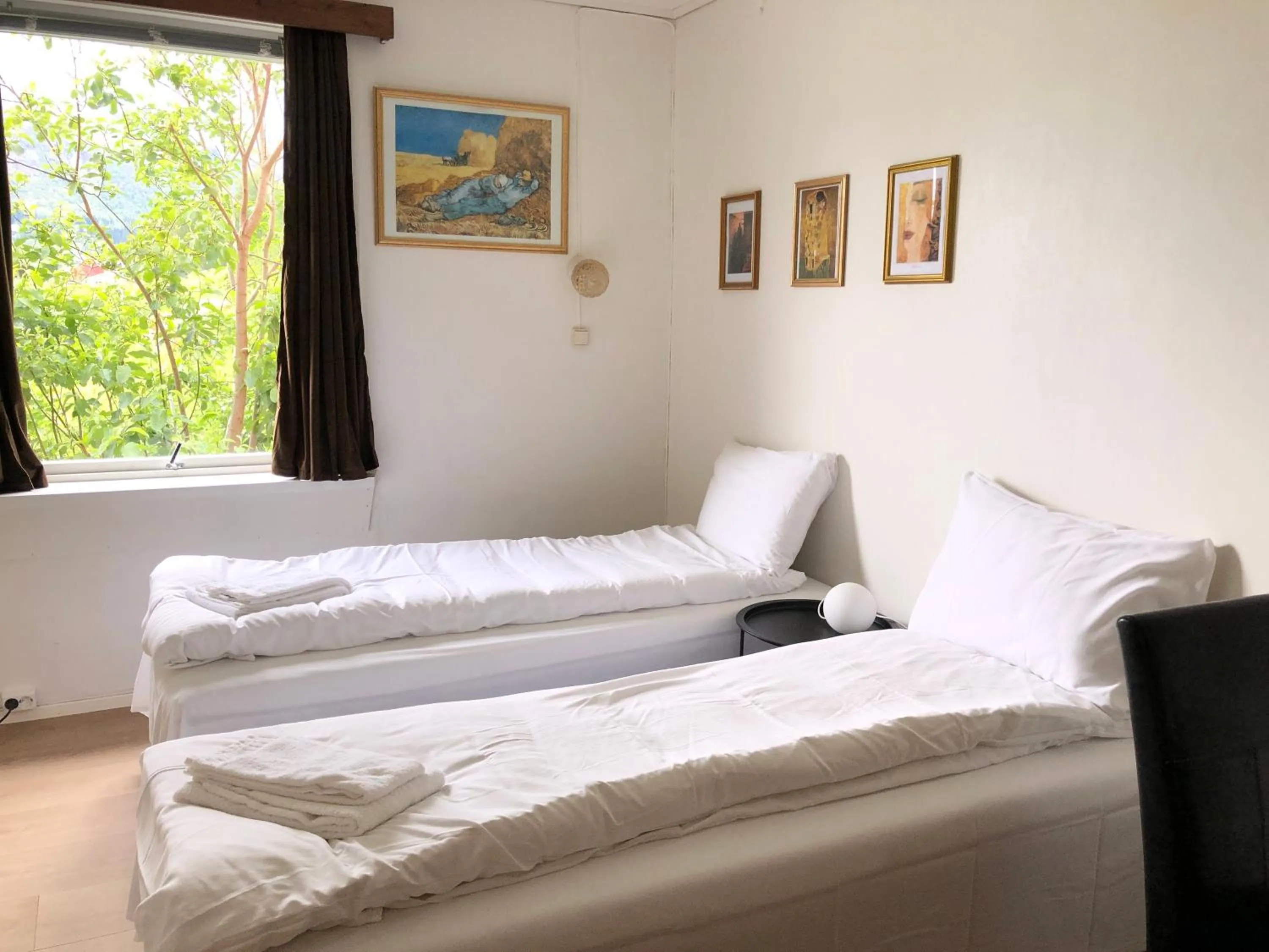 Deluxe Twin Room with Sea View - single occupancy in Jølster Lake View