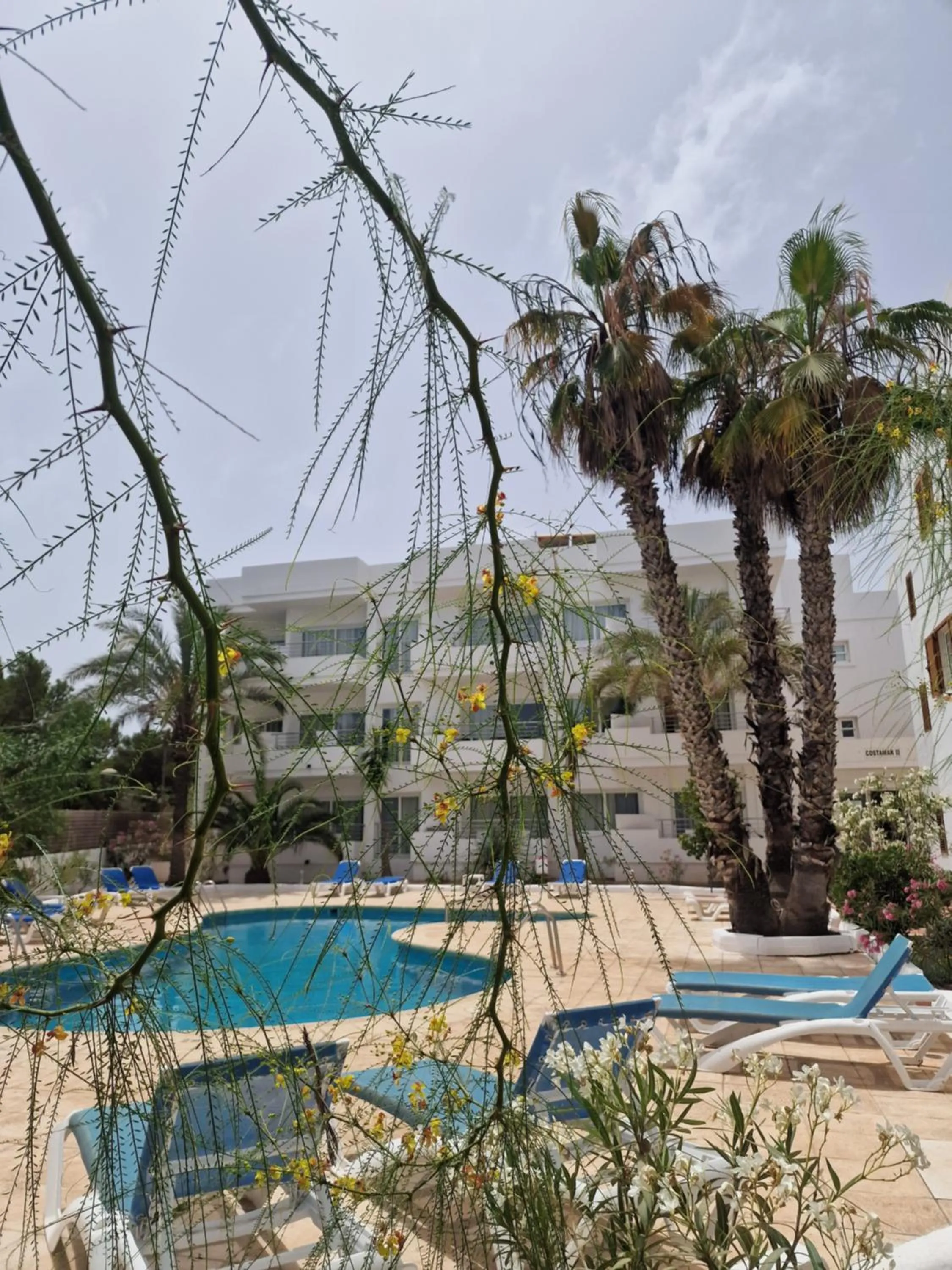 Pool view in Apartamentos Costamar II