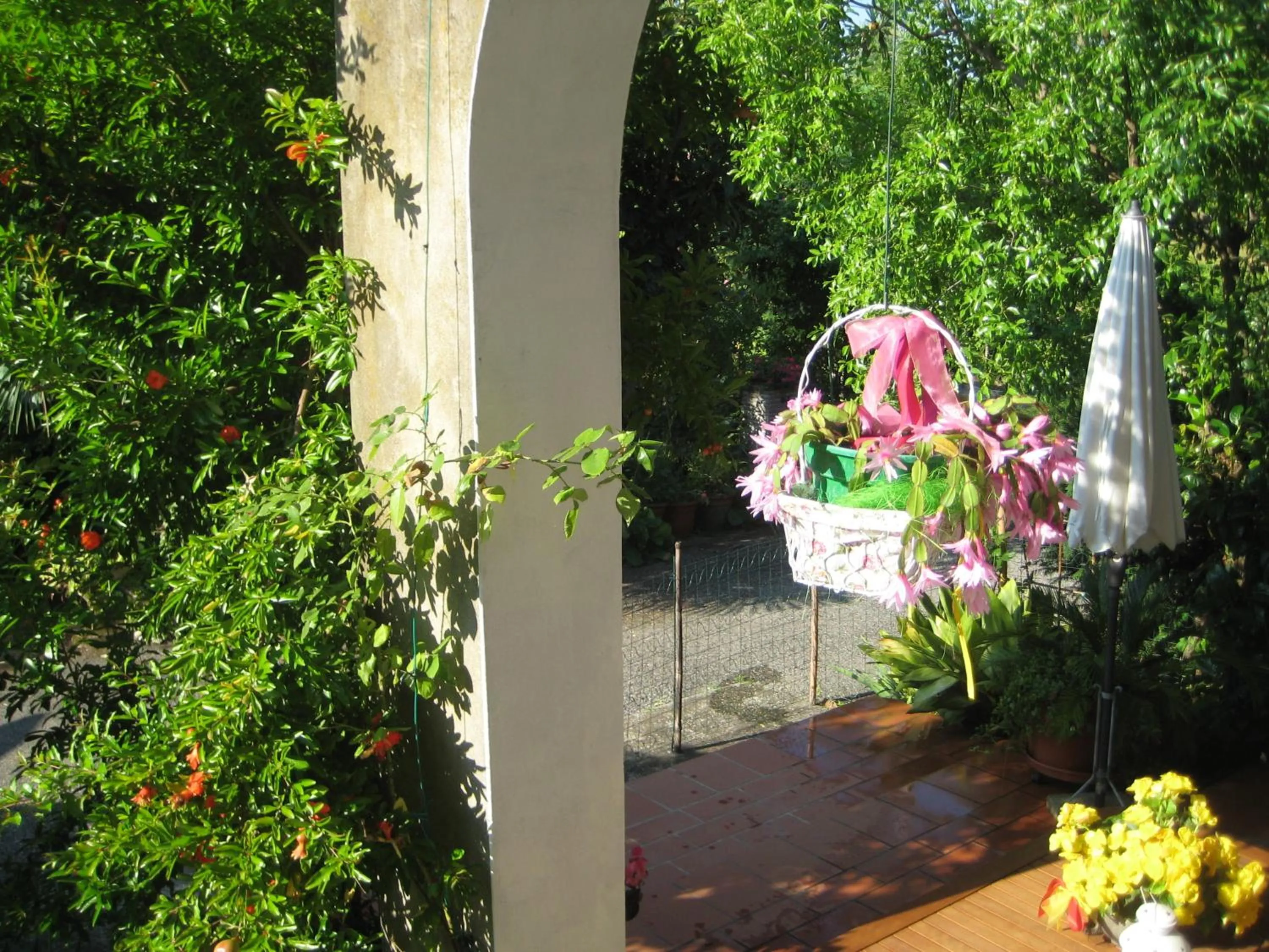 Garden in B&B Oasi di Venezia